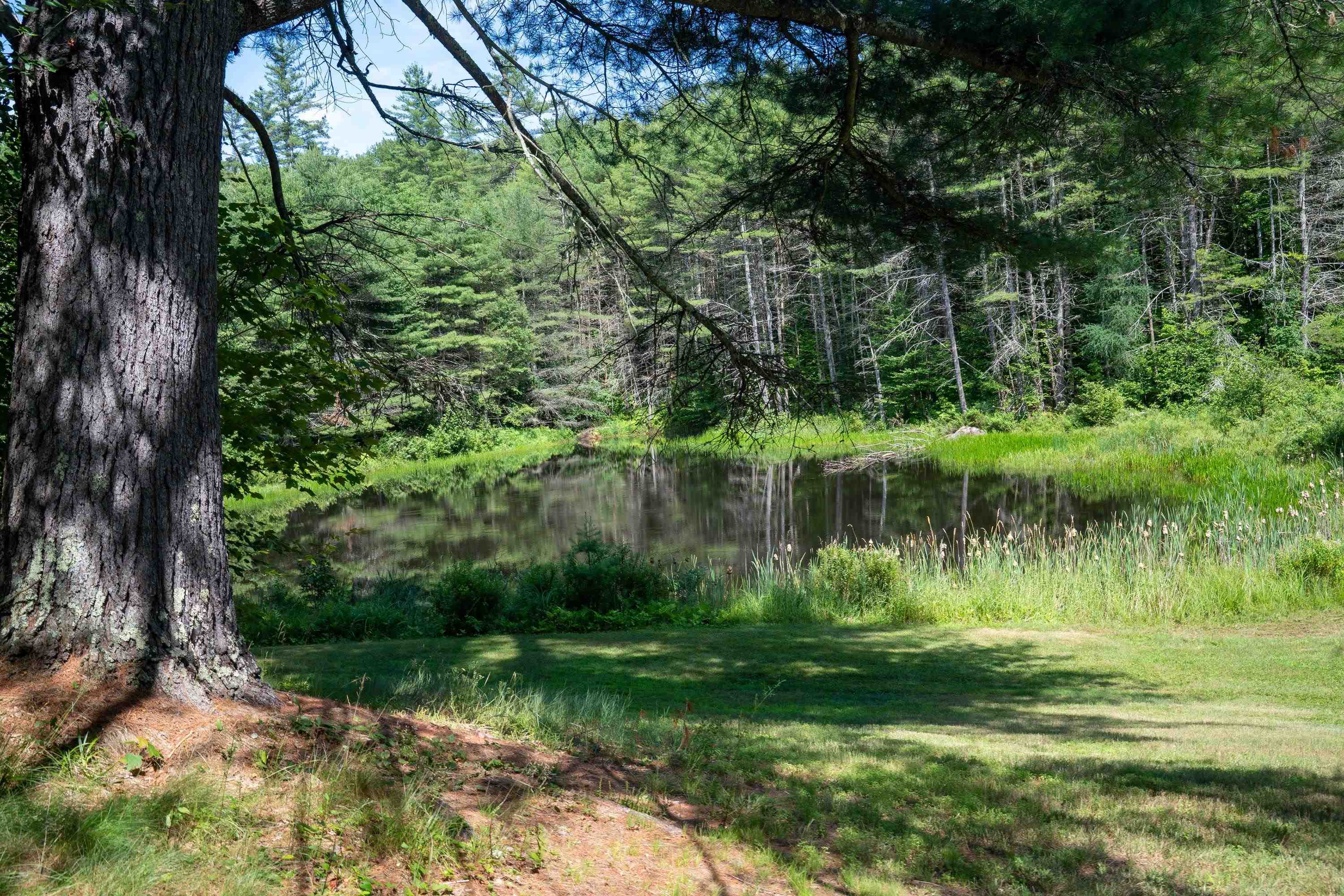 341 Under The Mountain Road Property Photo 23