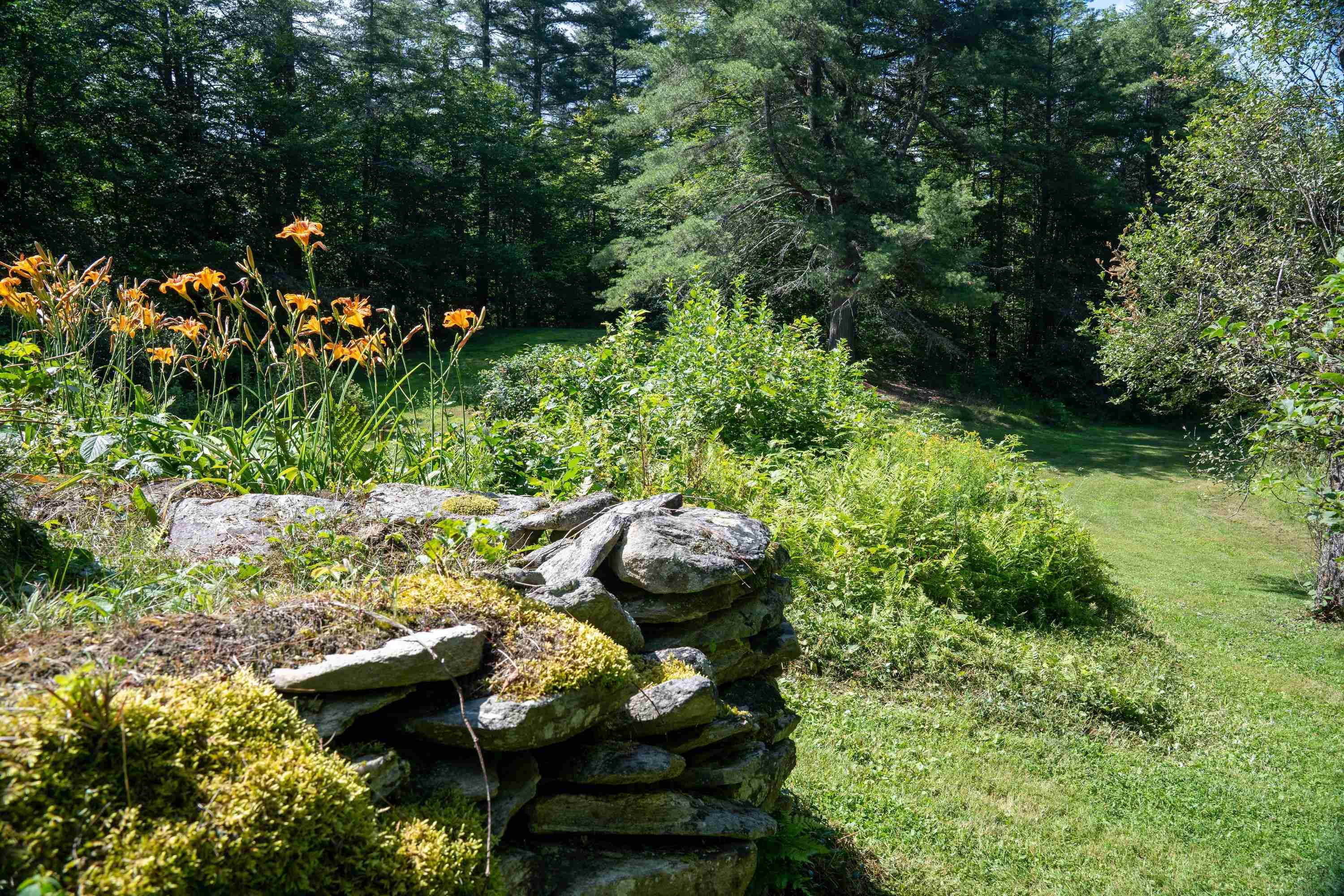 341 Under The Mountain Road Property Photo 27