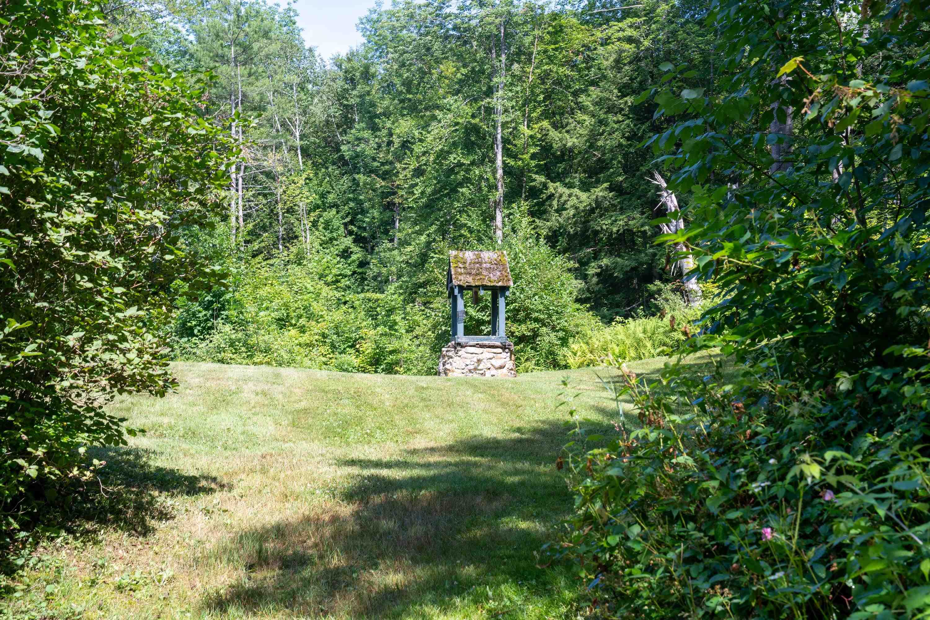 341 Under The Mountain Road Property Photo 29