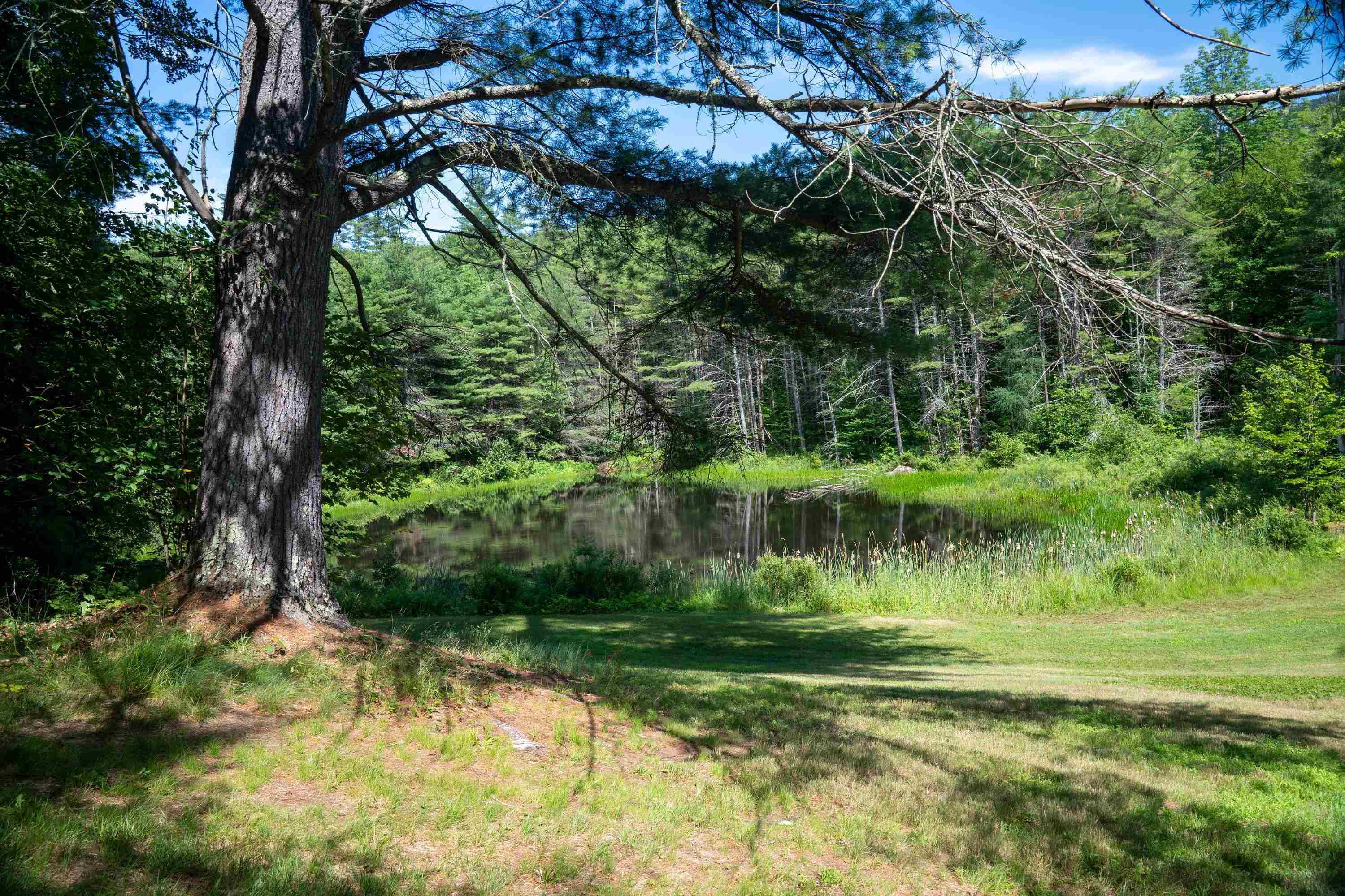 341 Under The Mountain Road Property Photo 37