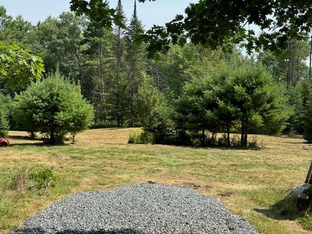 99 Stark Trail Property Photo 1