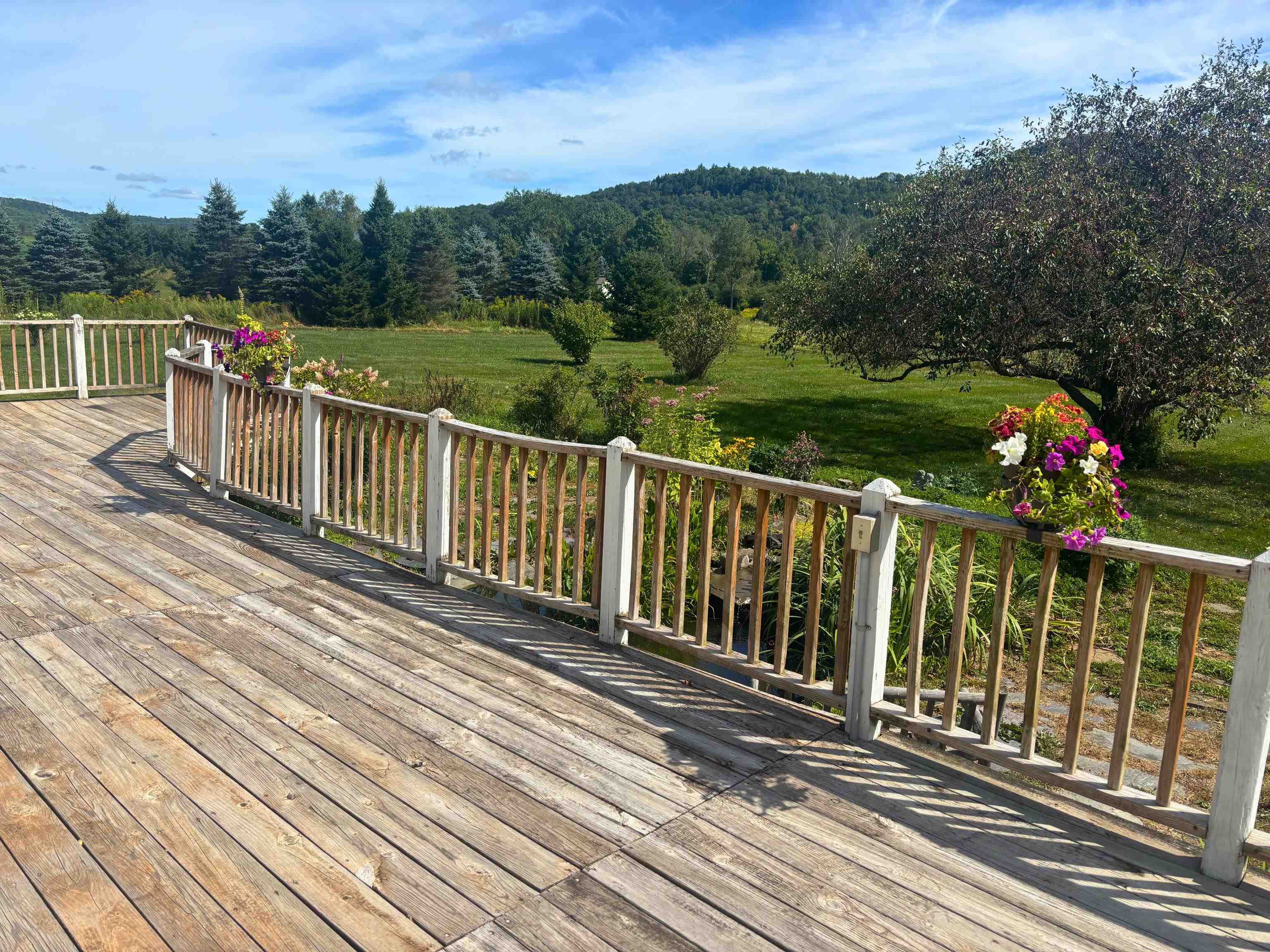 733 Buck Hollow Road Property Photo 30