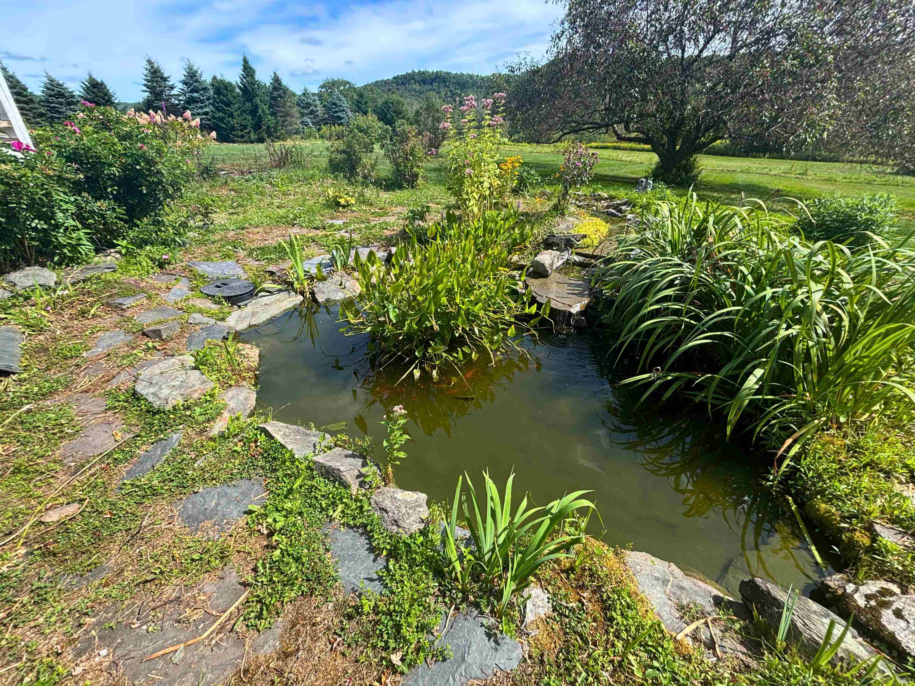 733 Buck Hollow Road Property Photo 33