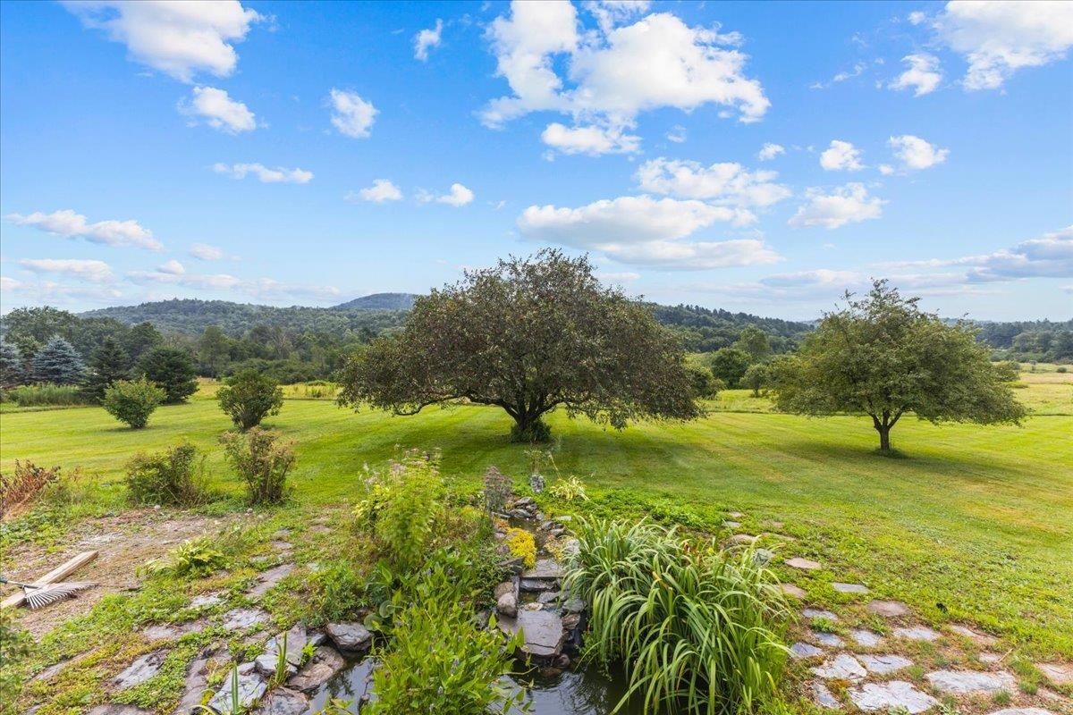 733 Buck Hollow Road Property Photo 45