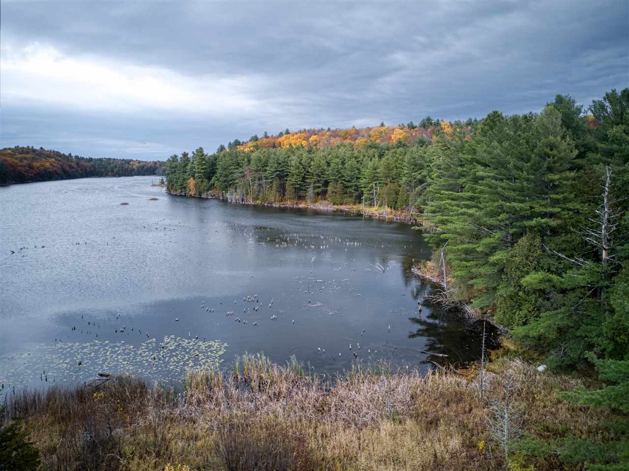 660 Beebe Hill Road Property Photo 10