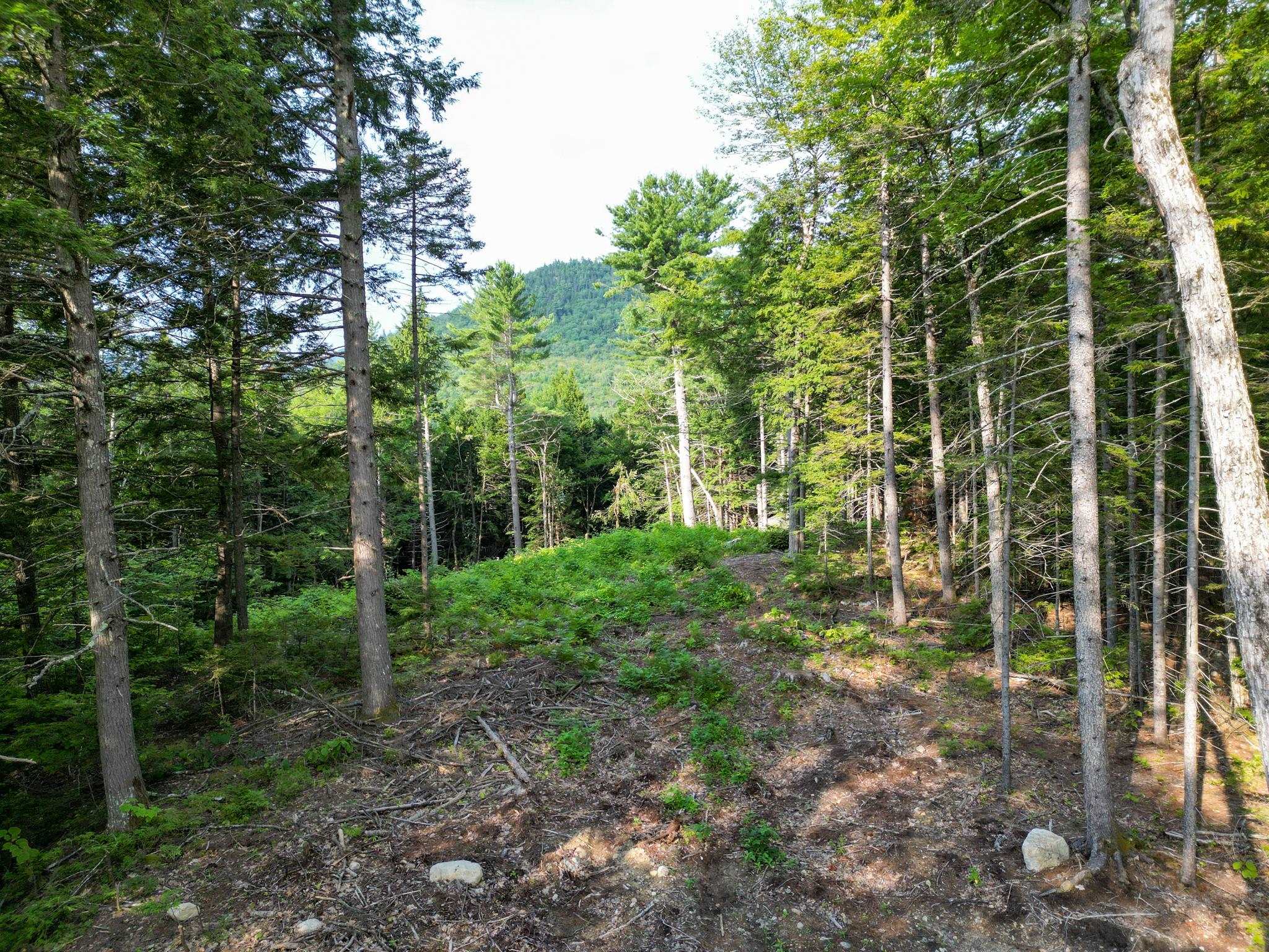 F4 Cave Mountain Drive Property Photo 7