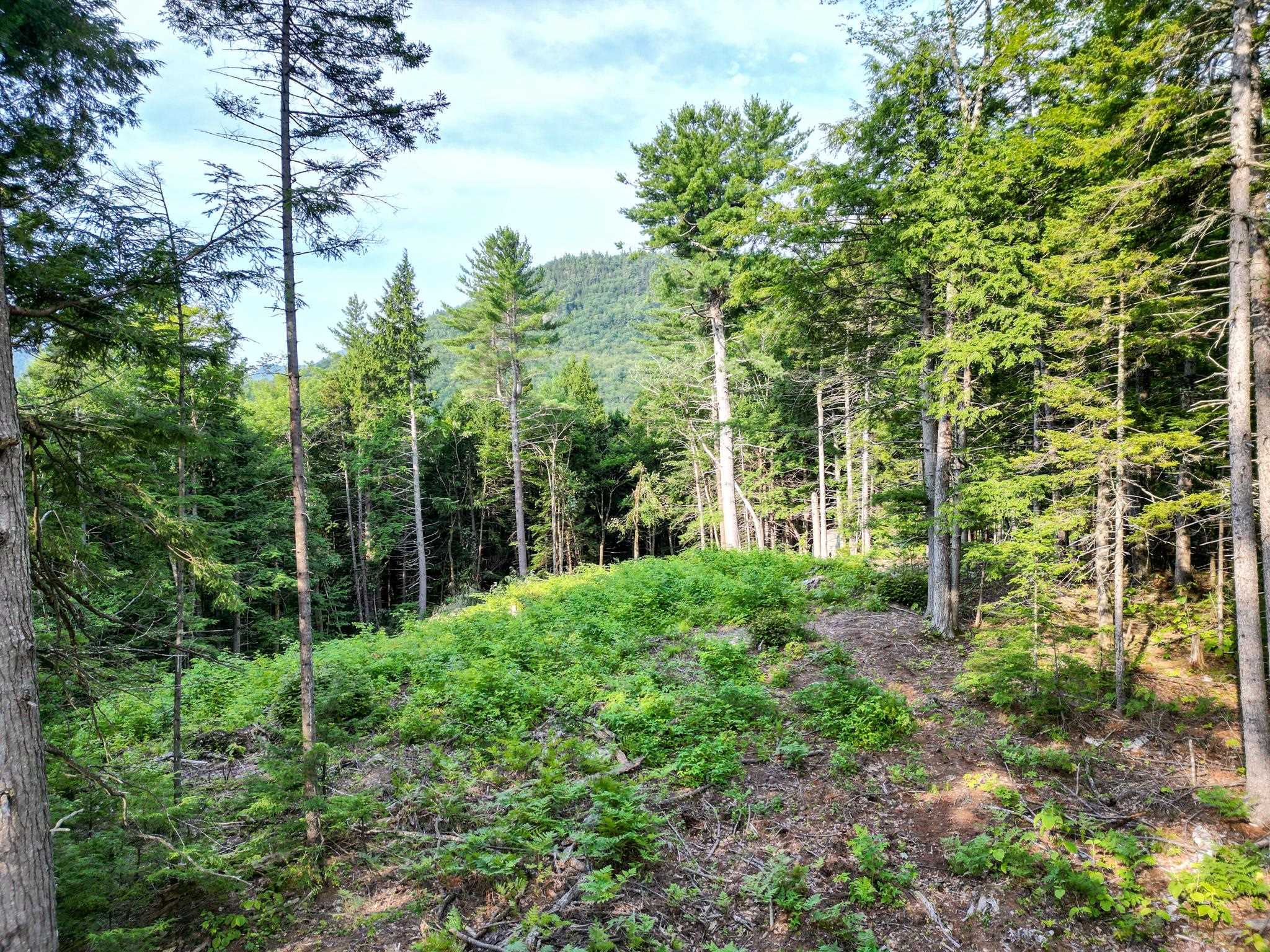 F4 Cave Mountain Drive Property Photo 8