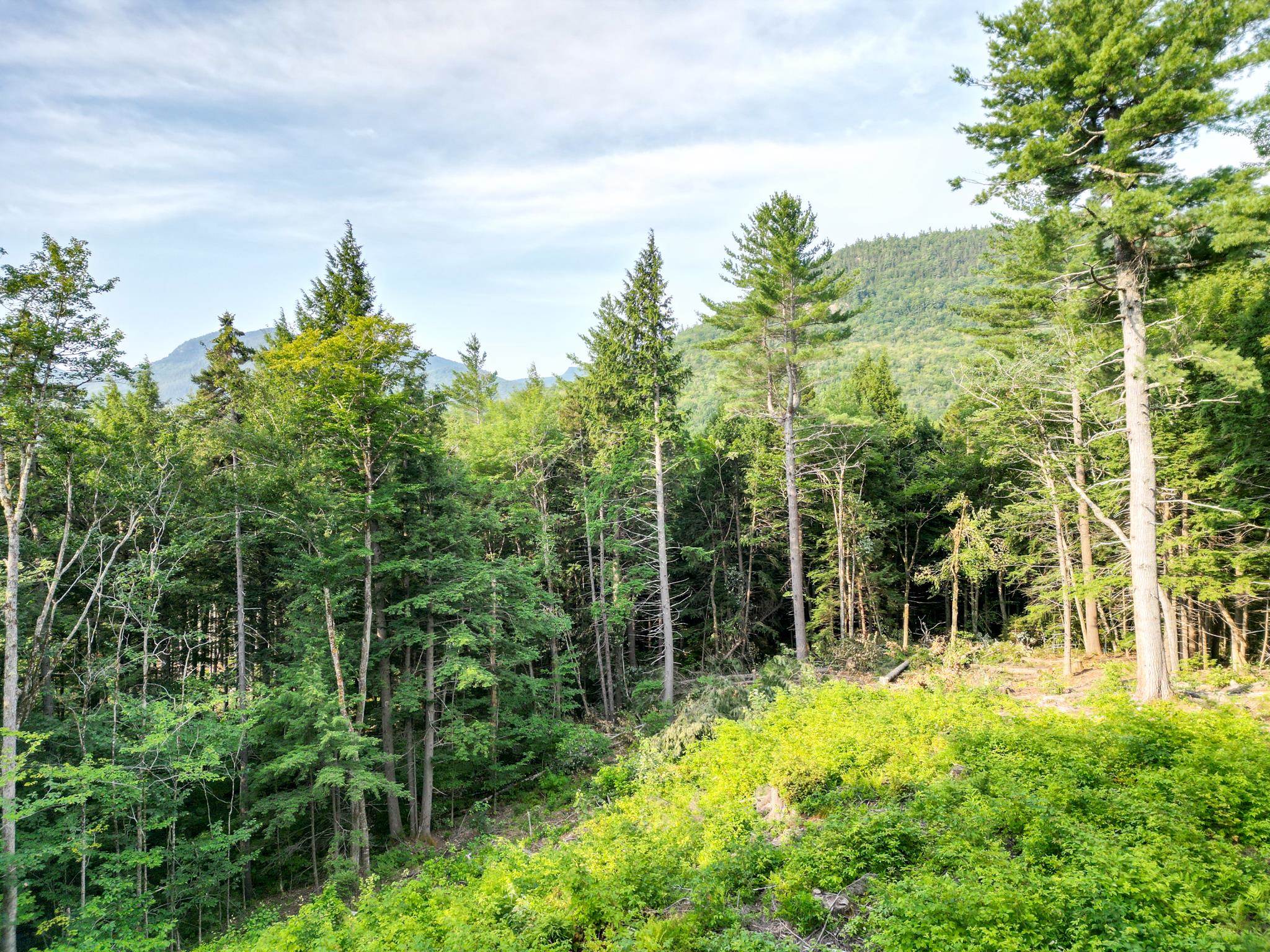 F4 Cave Mountain Drive Property Photo 9