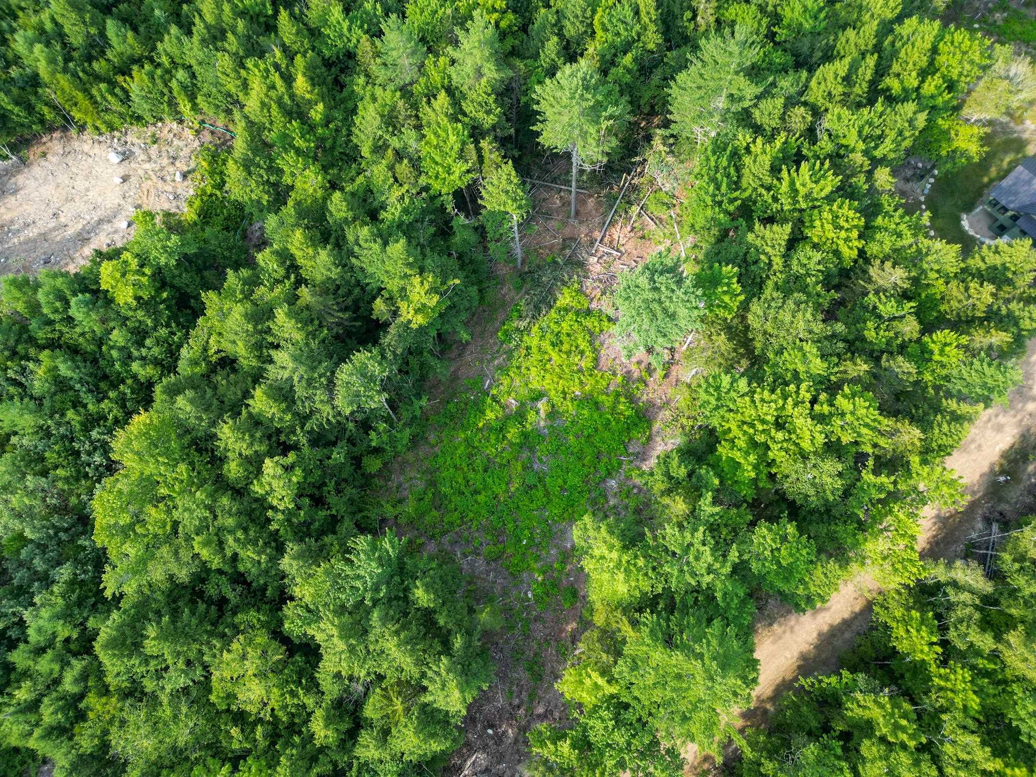 F4 Cave Mountain Drive Property Photo 10