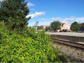 2 Silver Street Property Photo 29