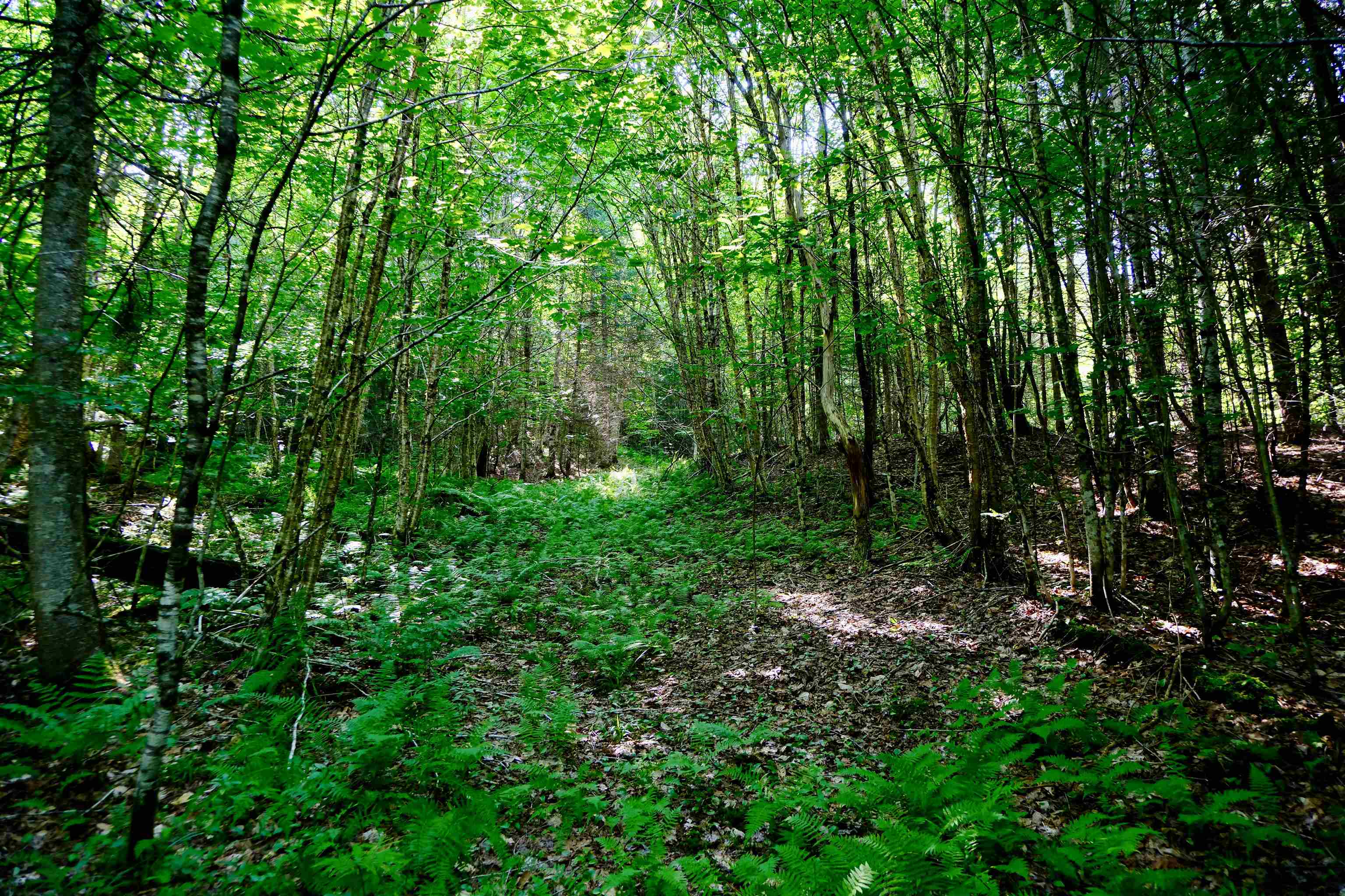 0 Calendar Brook Road Property Photo 59