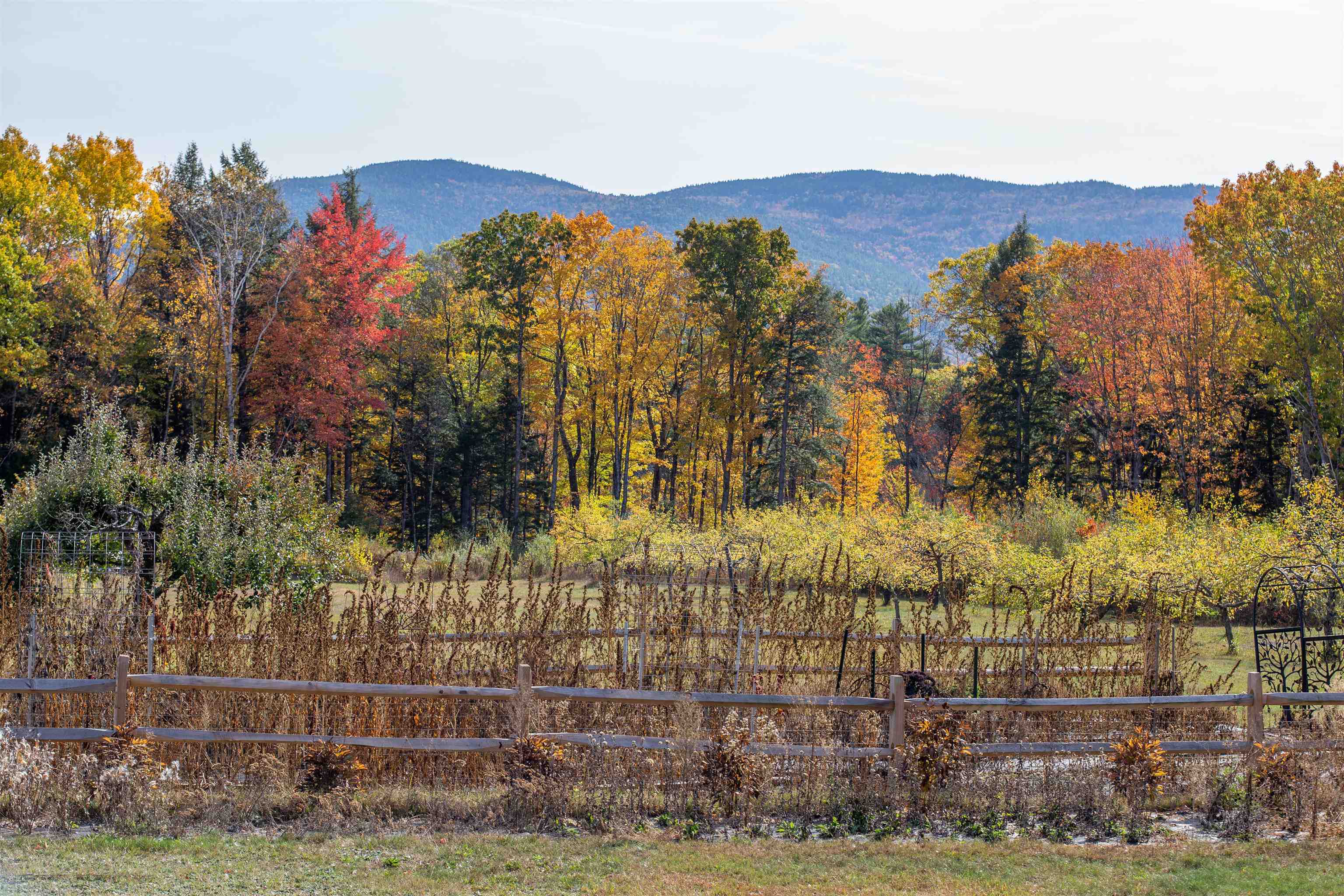 55 Hollow Hill Road Property Photo 2