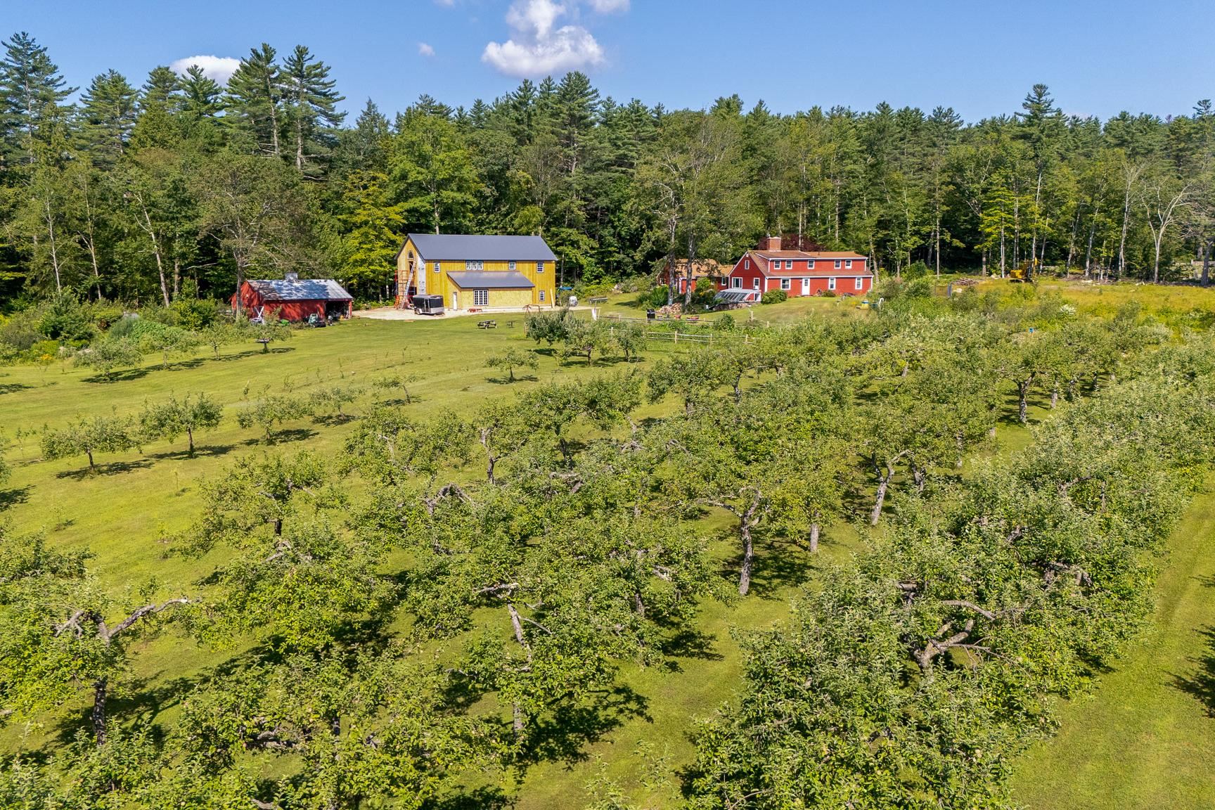 55 Hollow Hill Road Property Photo 11