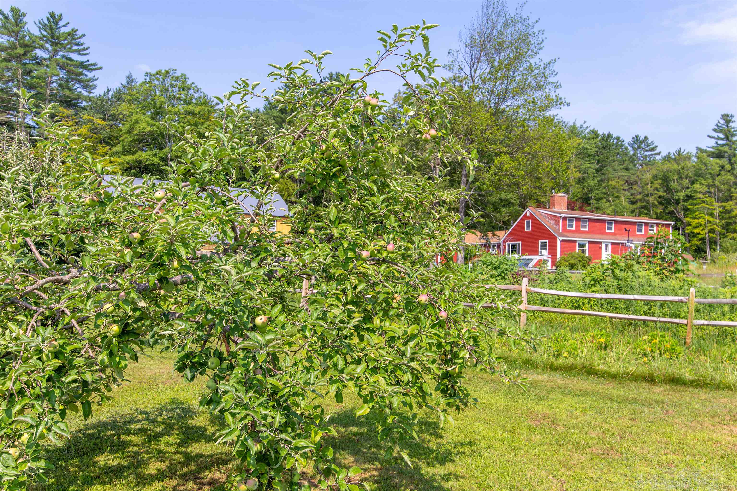 55 Hollow Hill Road Property Photo 52