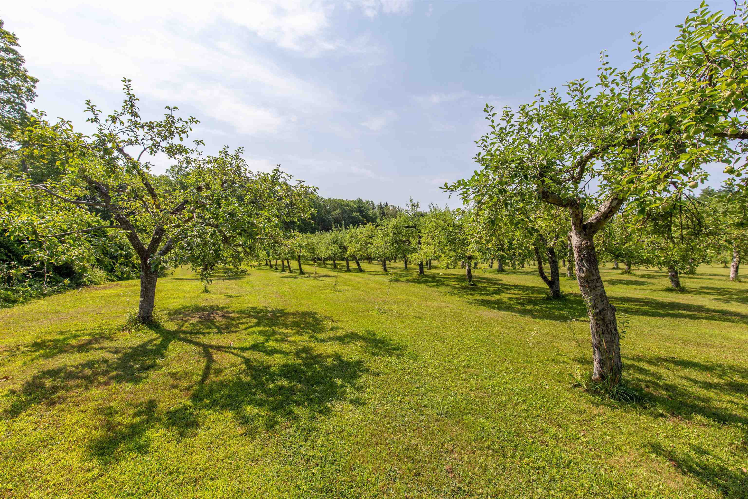 55 Hollow Hill Road Property Photo 53