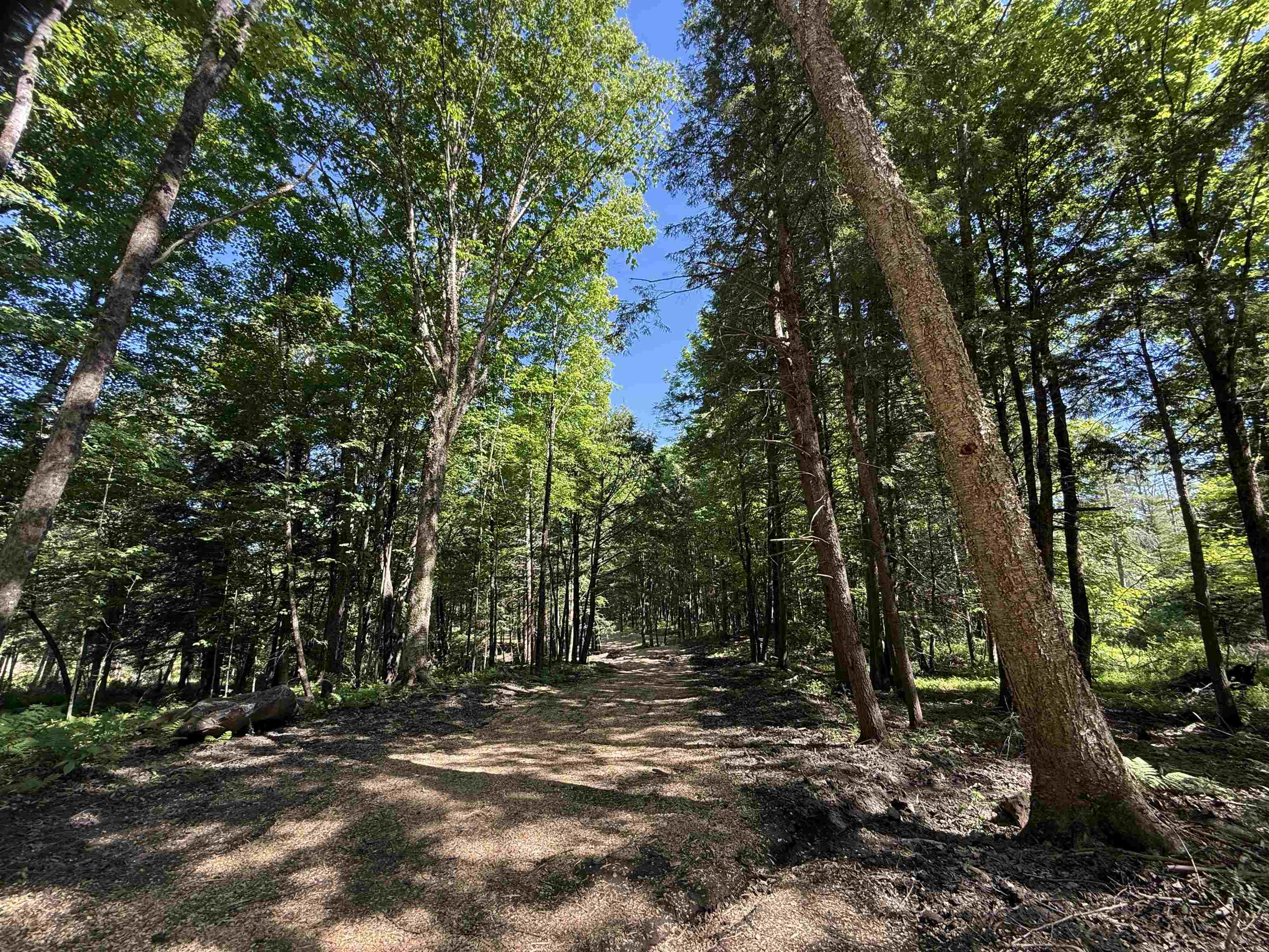 00 Vt Route 14 Property Photo 2