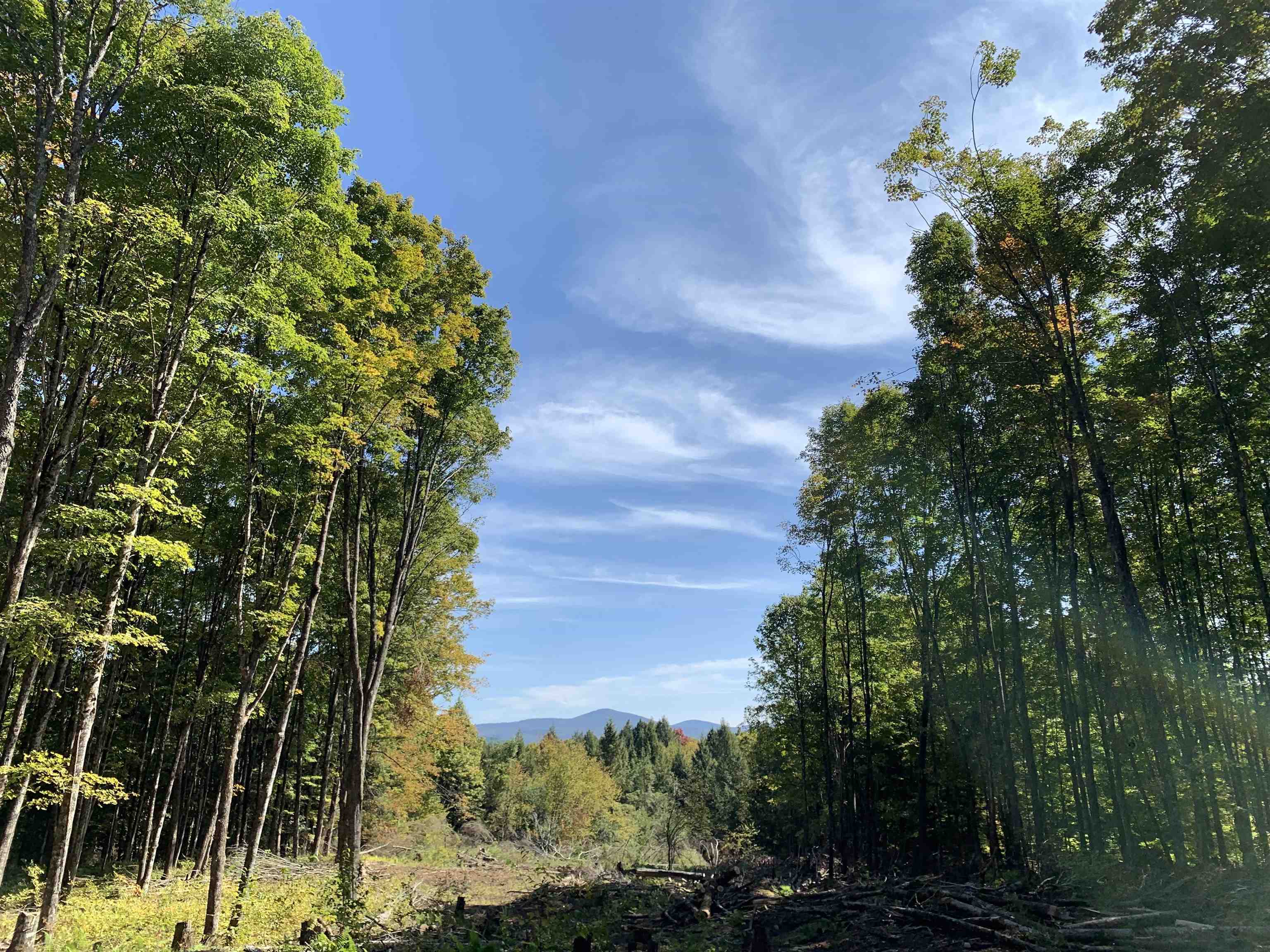 00 Vt Route 14 Property Photo 11