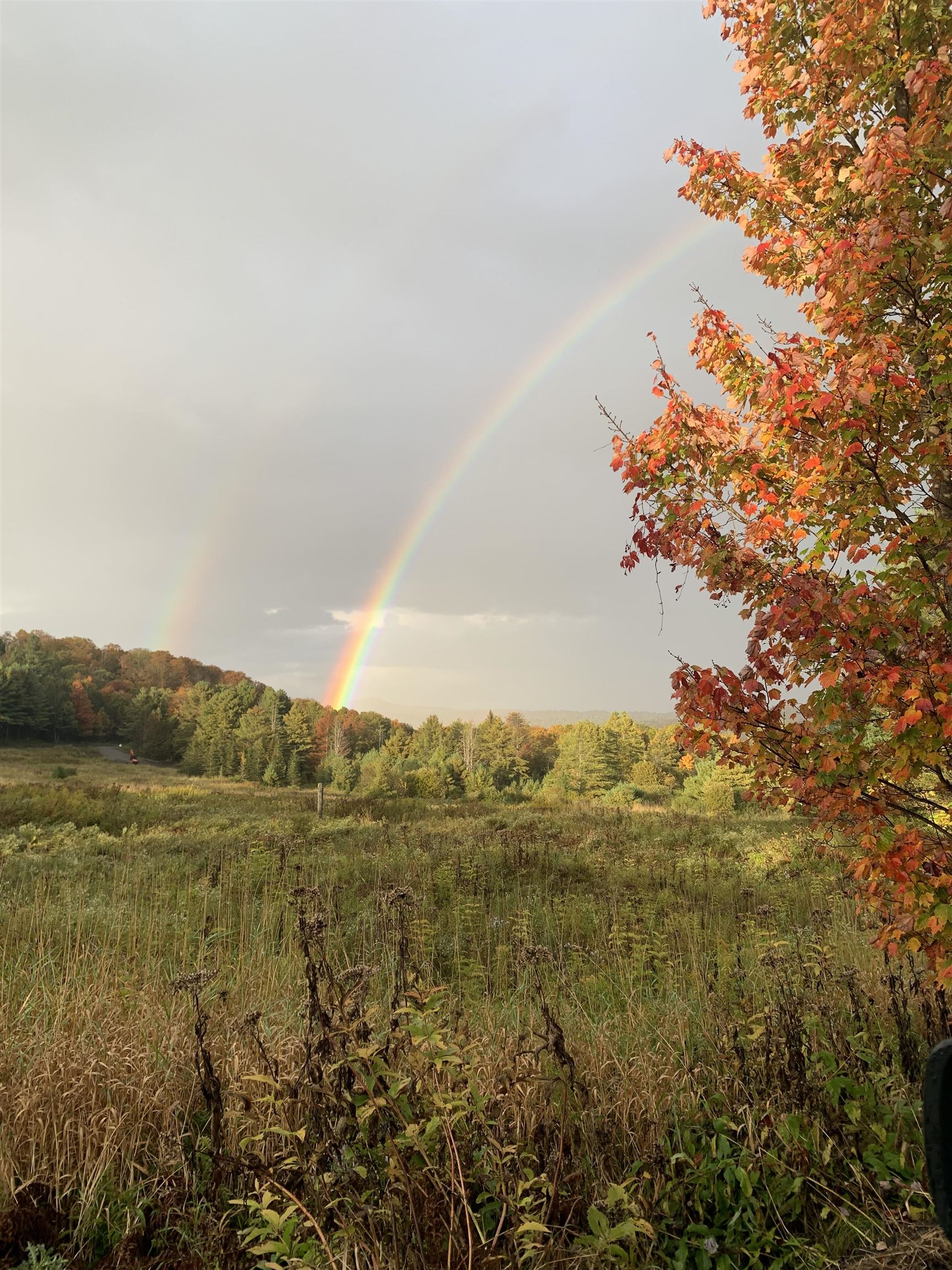 00 Vt Route 14 Property Photo 13