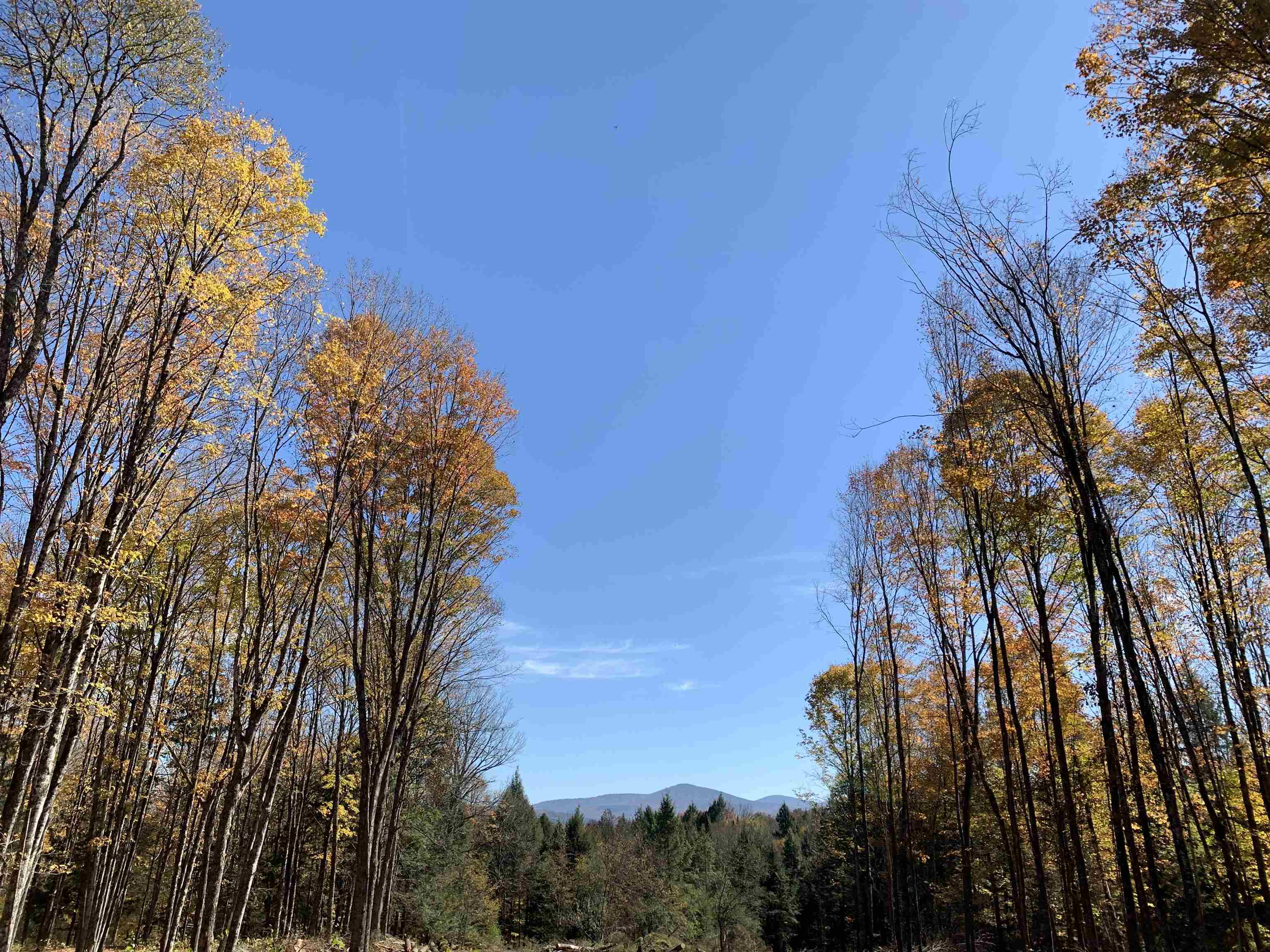 00 Vt Route 14 Property Photo 14