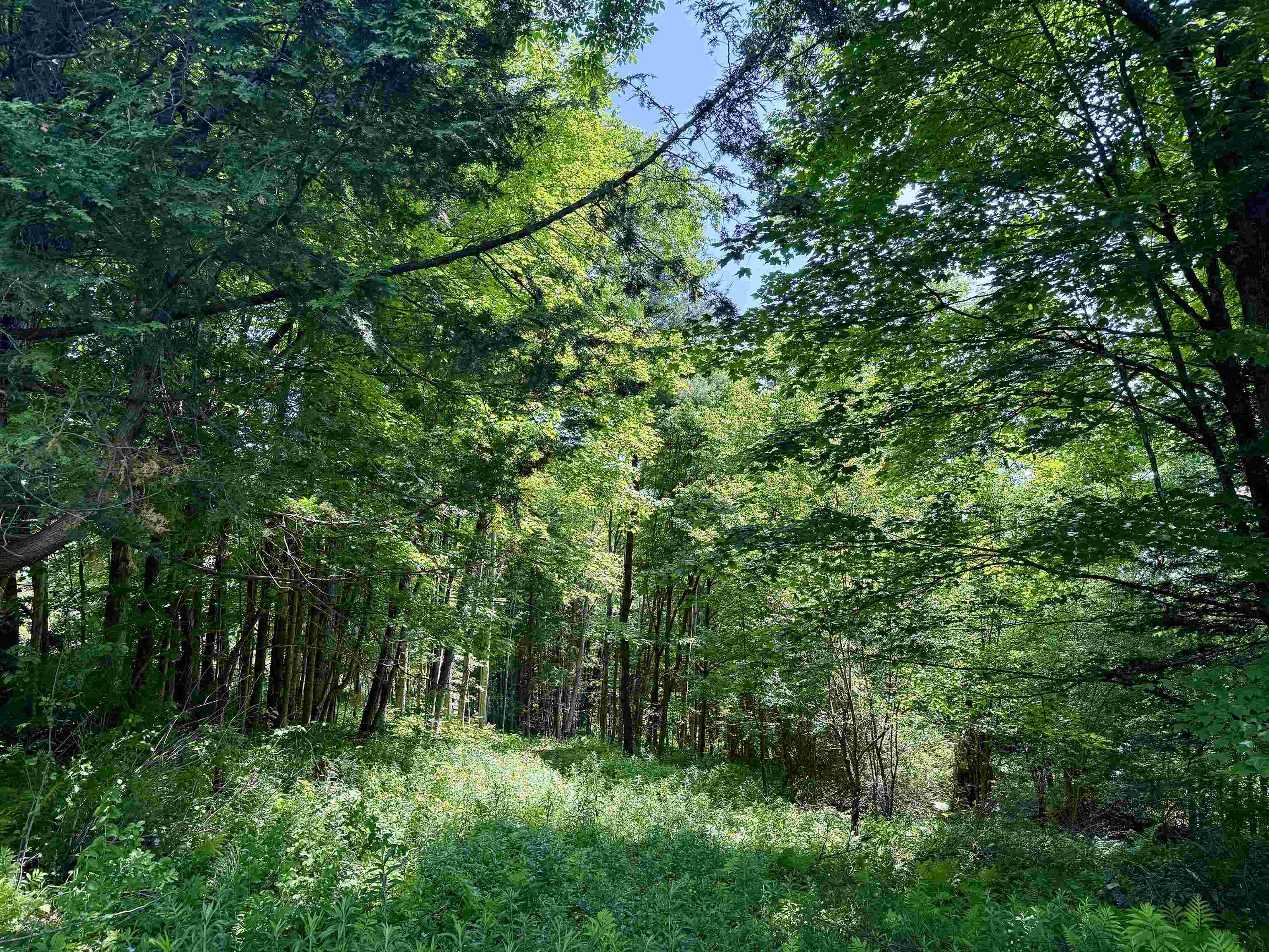 00 Vt Route 14 Property Photo 17