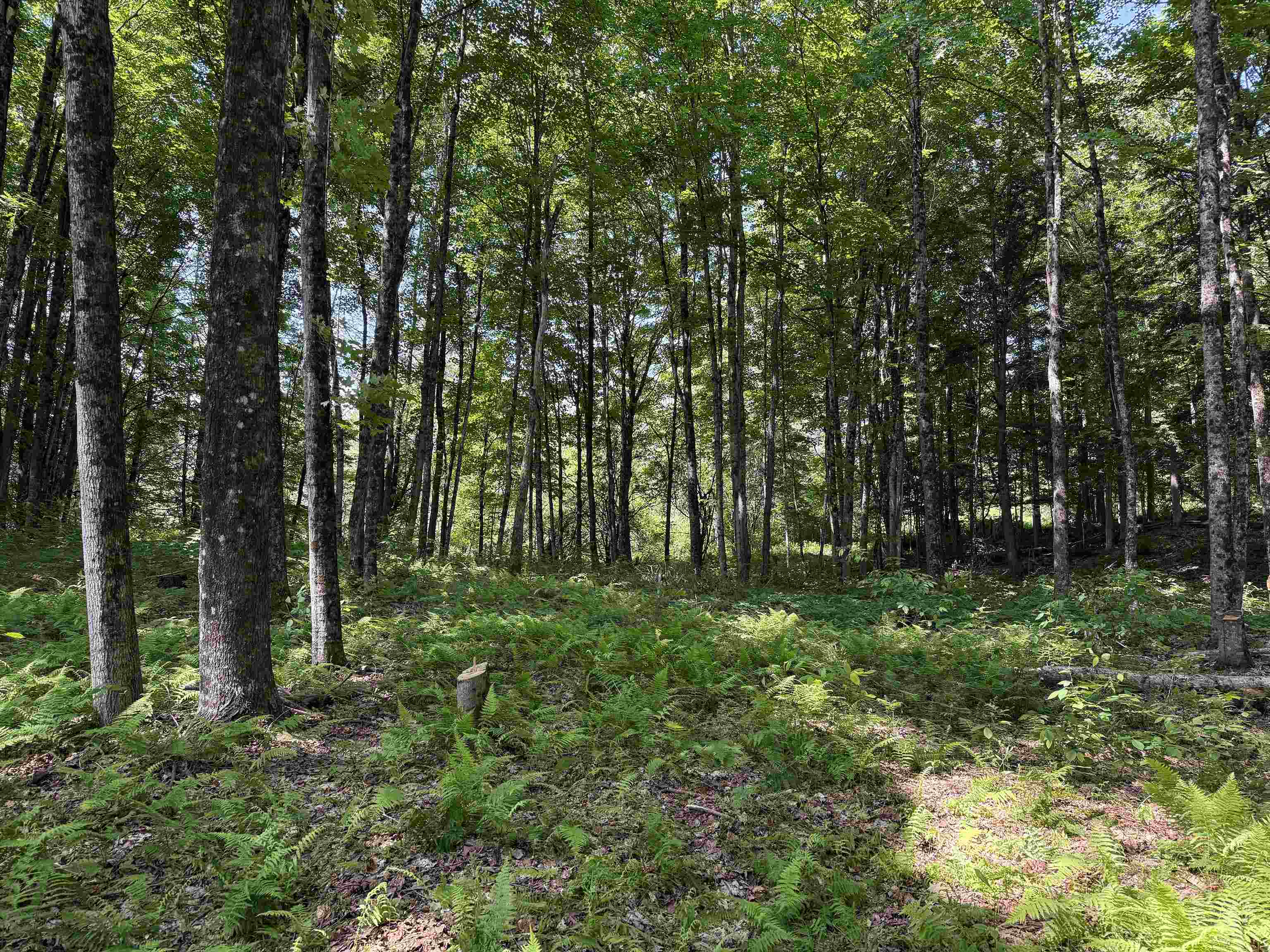 00 Vt Route 14 Property Photo 18