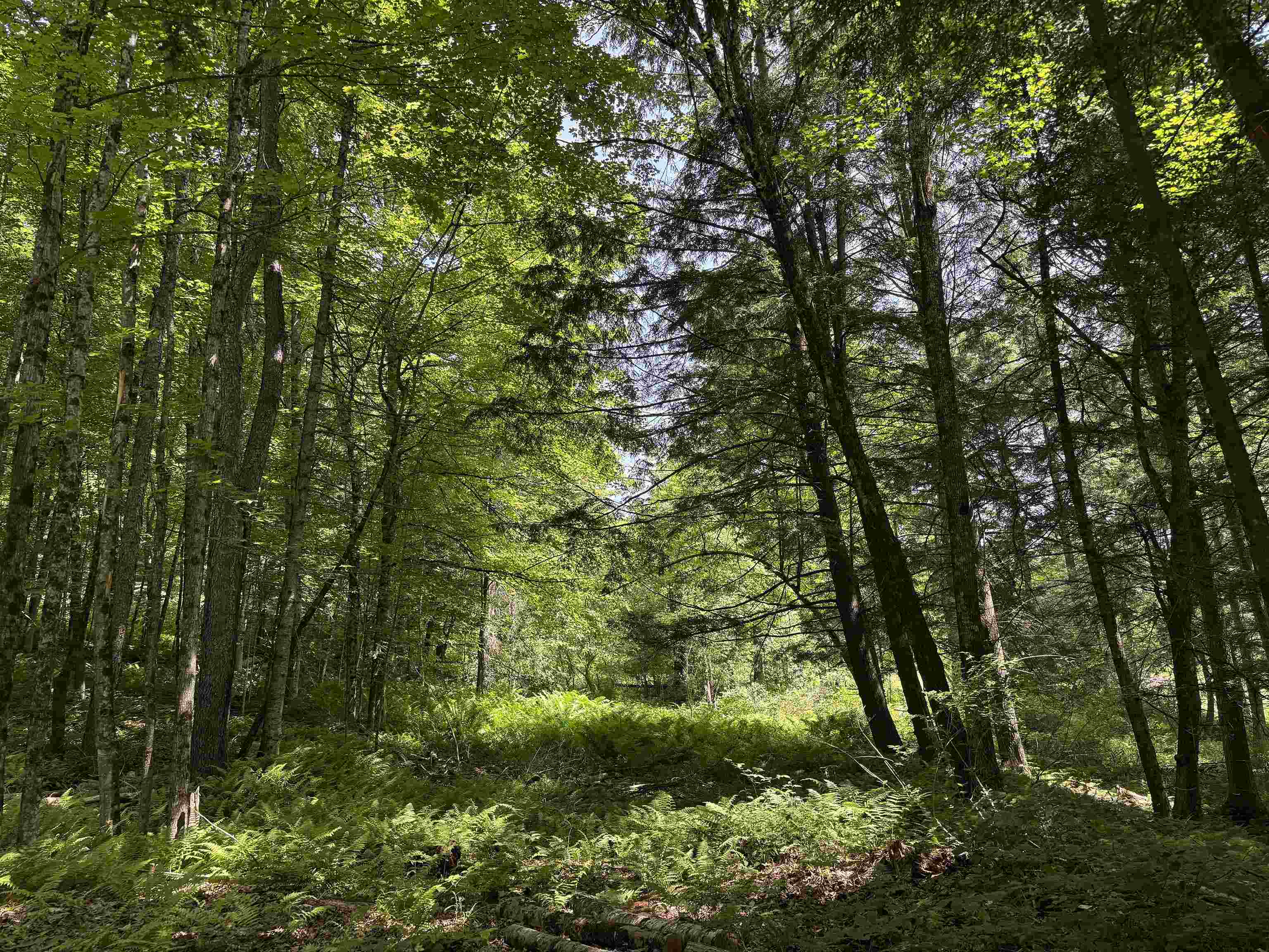 00 Vt Route 14 Property Photo 19