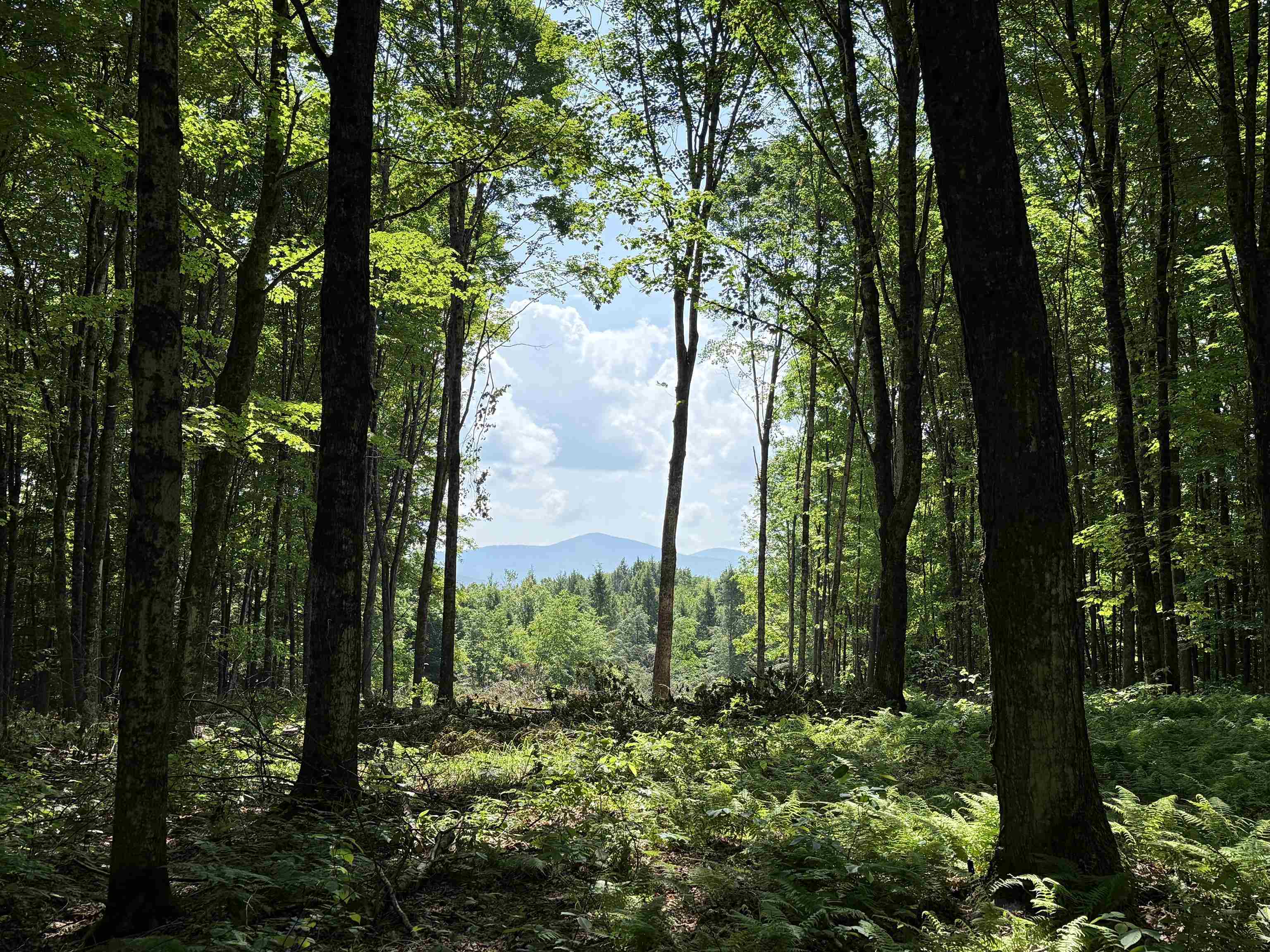 00 Vt Route 14 Property Photo 20