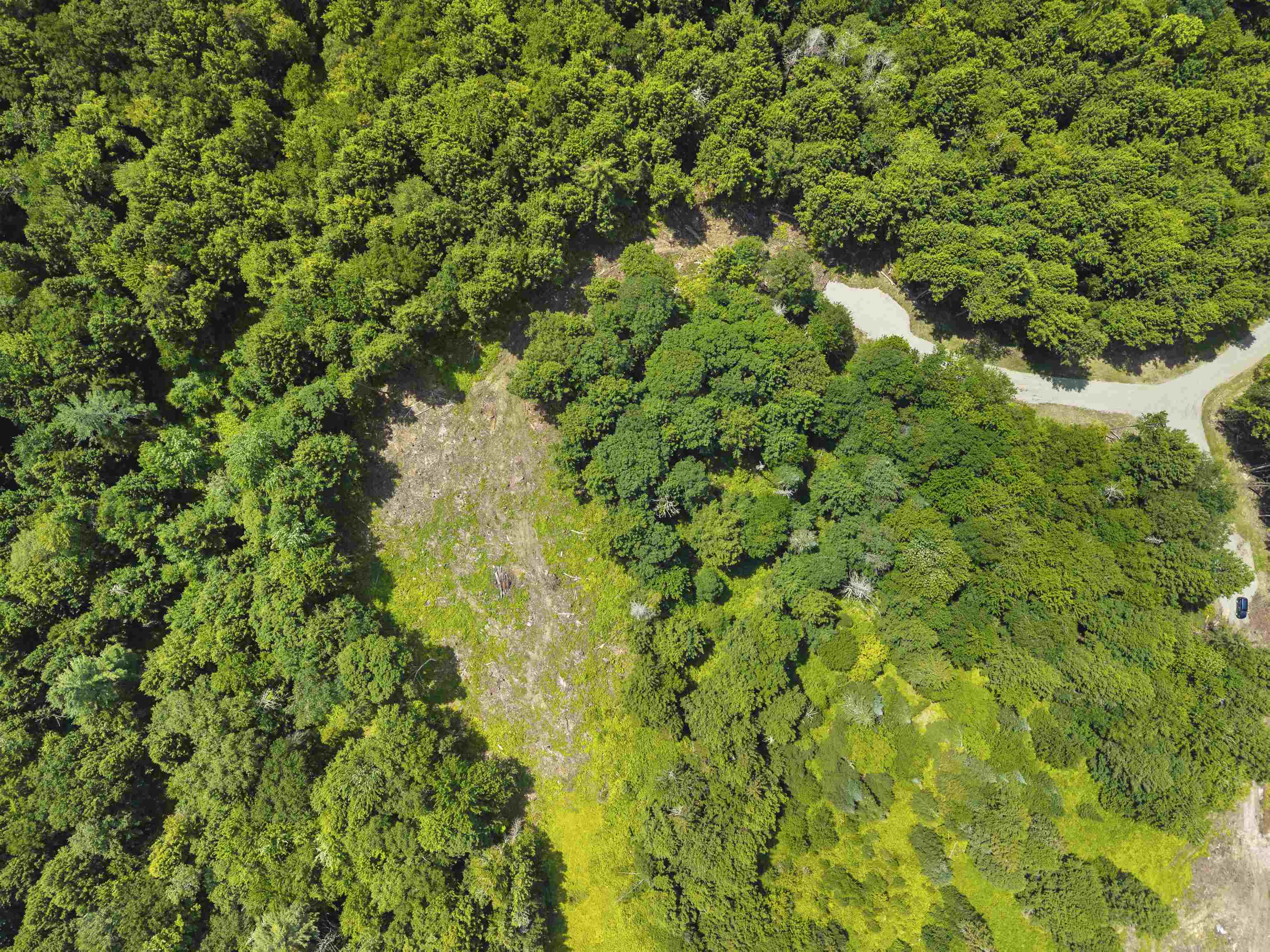 00 Baird Road Property Photo 1