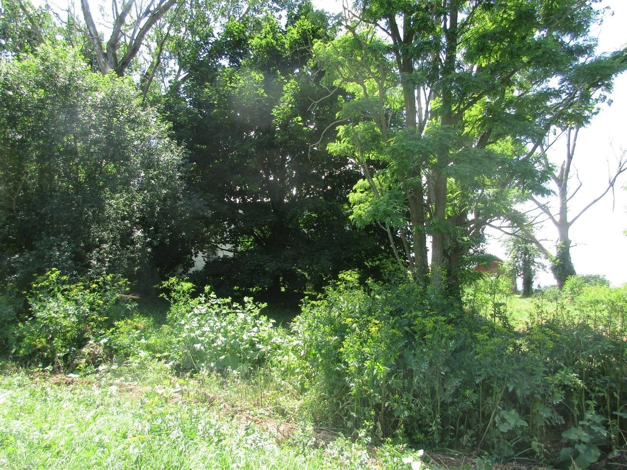 2290 Hemenway Hill Road Property Photo 8
