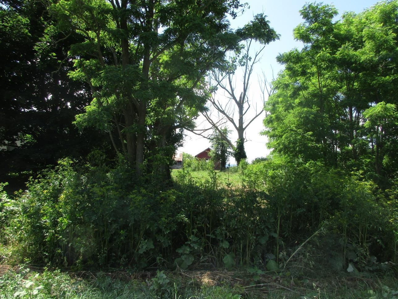 2290 Hemenway Hill Road Property Photo 9