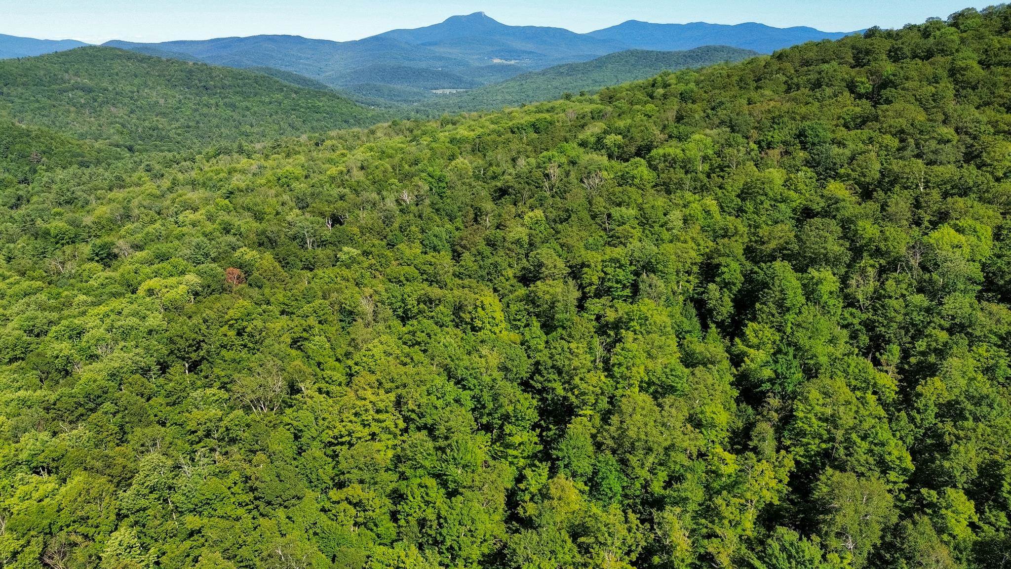 0 Beaver Pond Road Property Photo 1