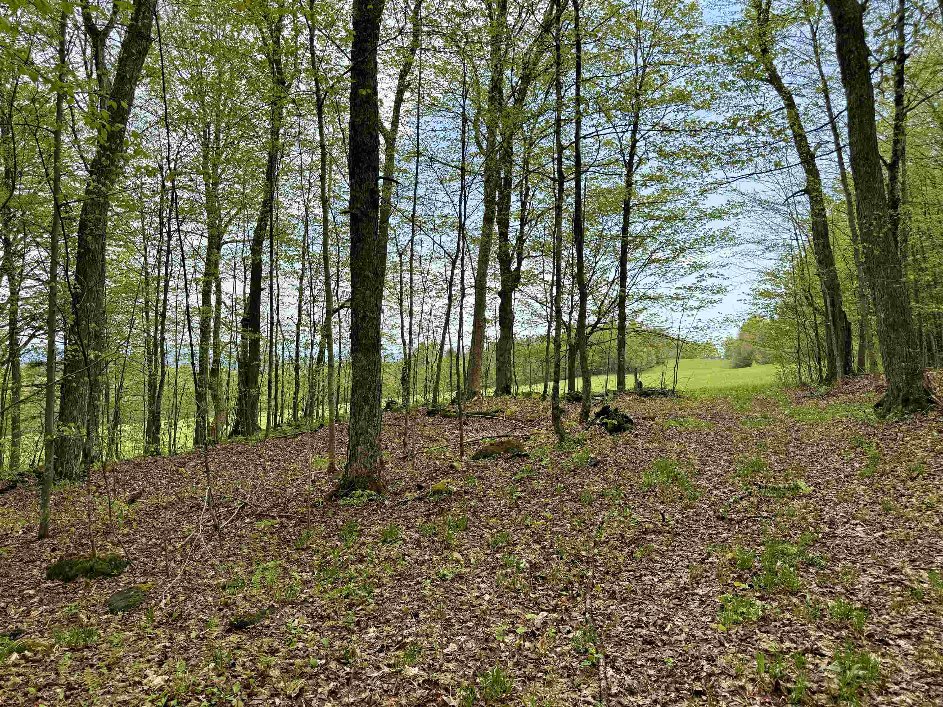 770 Pope Brook Road Property Photo 13