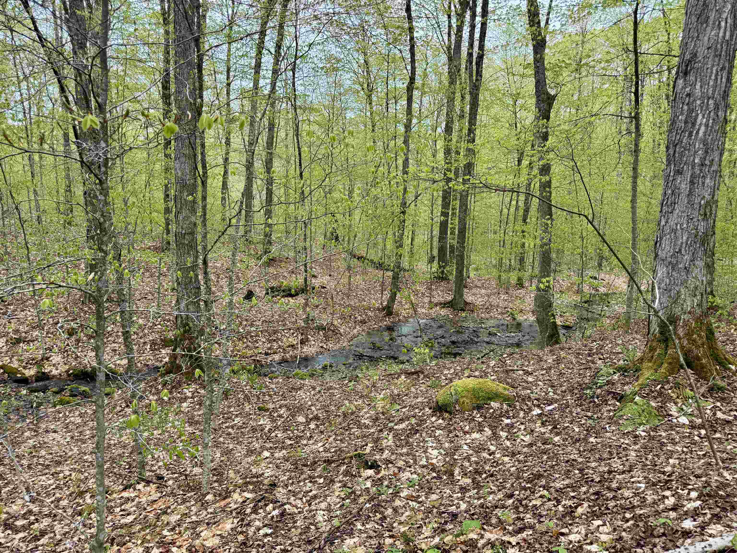 770 Pope Brook Road Property Photo 14