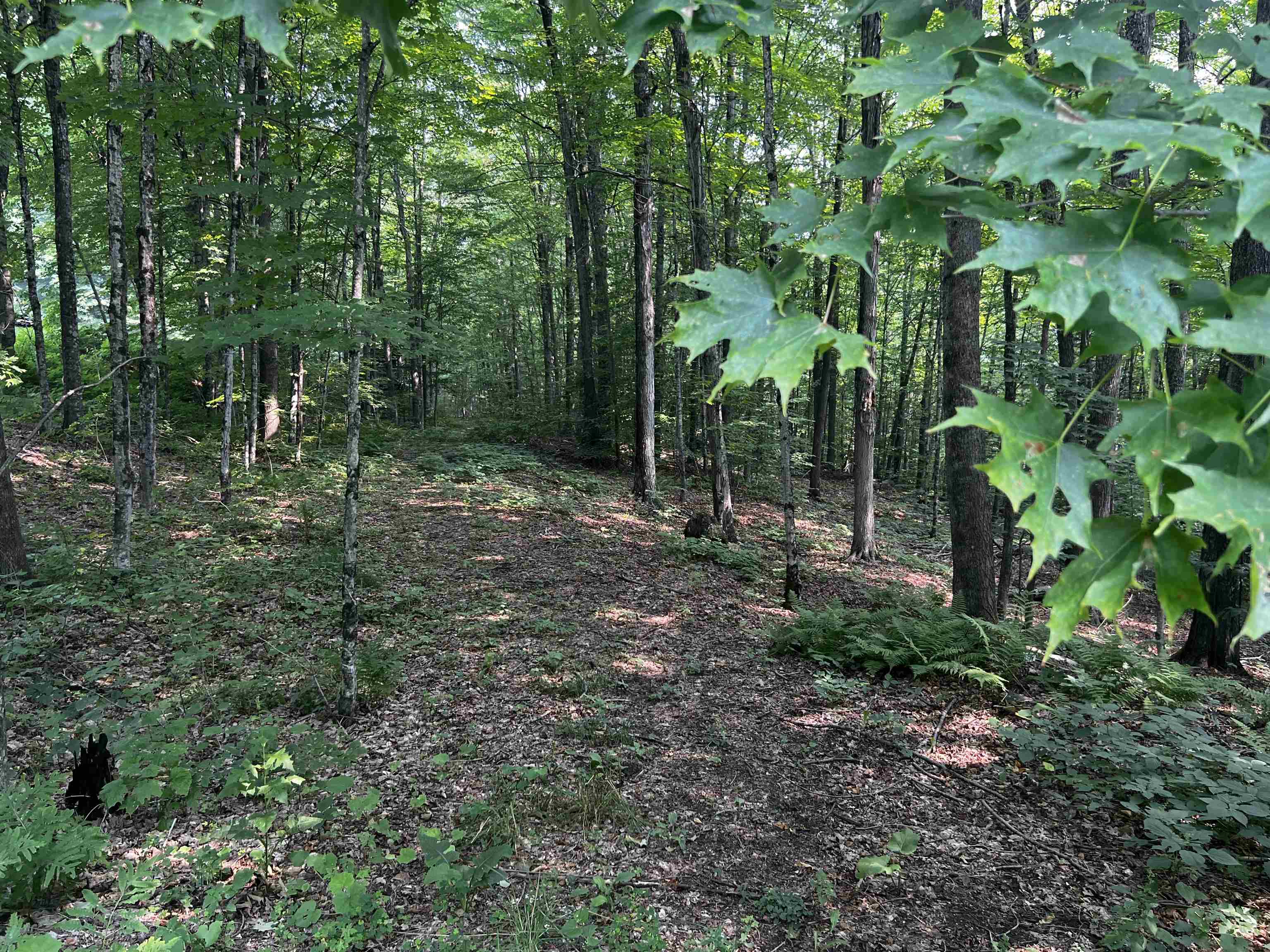 390 Zabarsky Road Property Photo 46