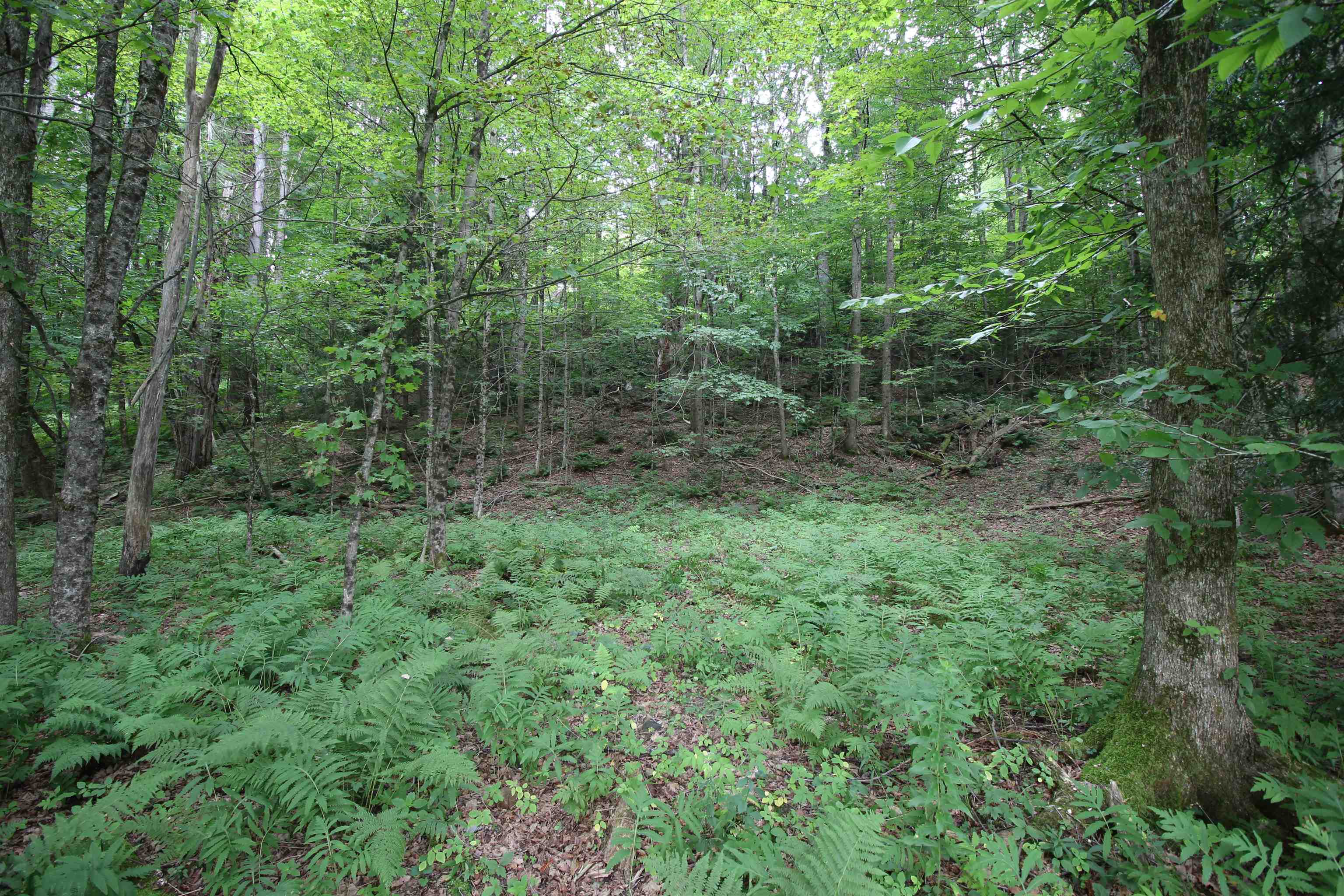 360 Liberty Hill Road Property Photo 1