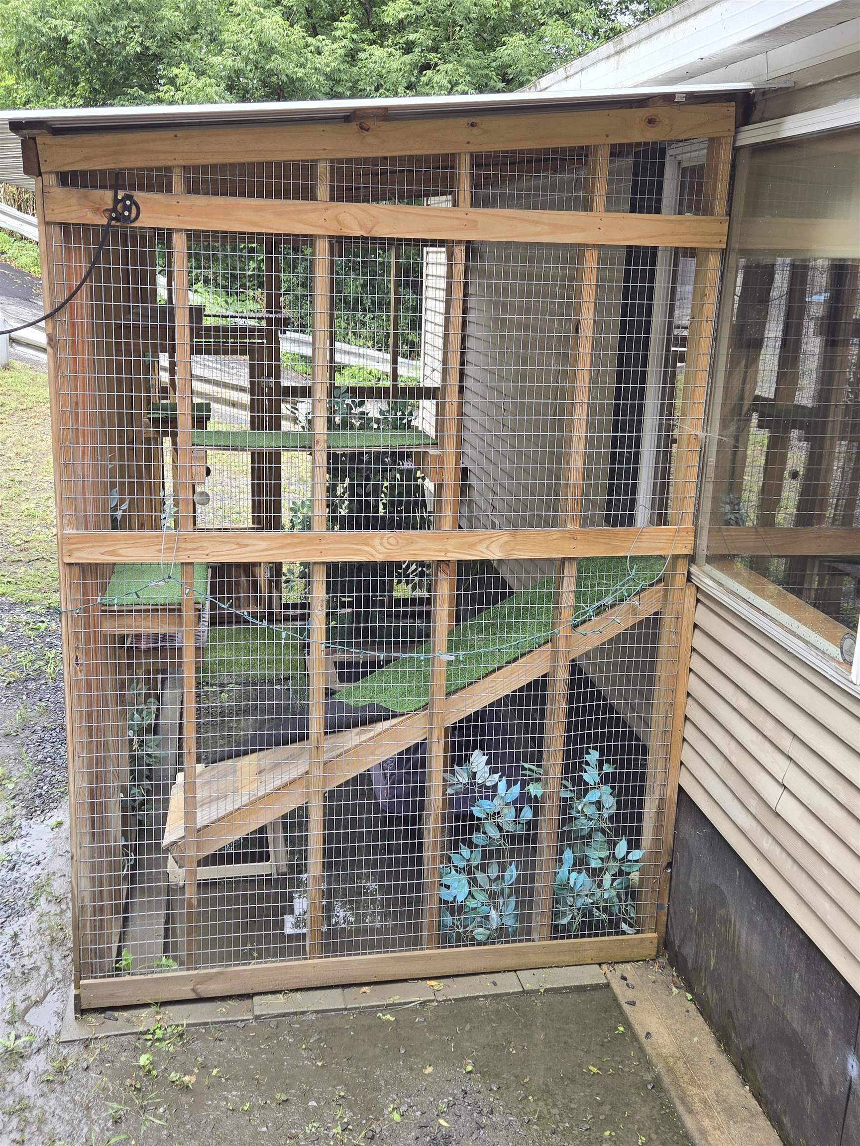 41 Brooklyn Street Property Photo 12