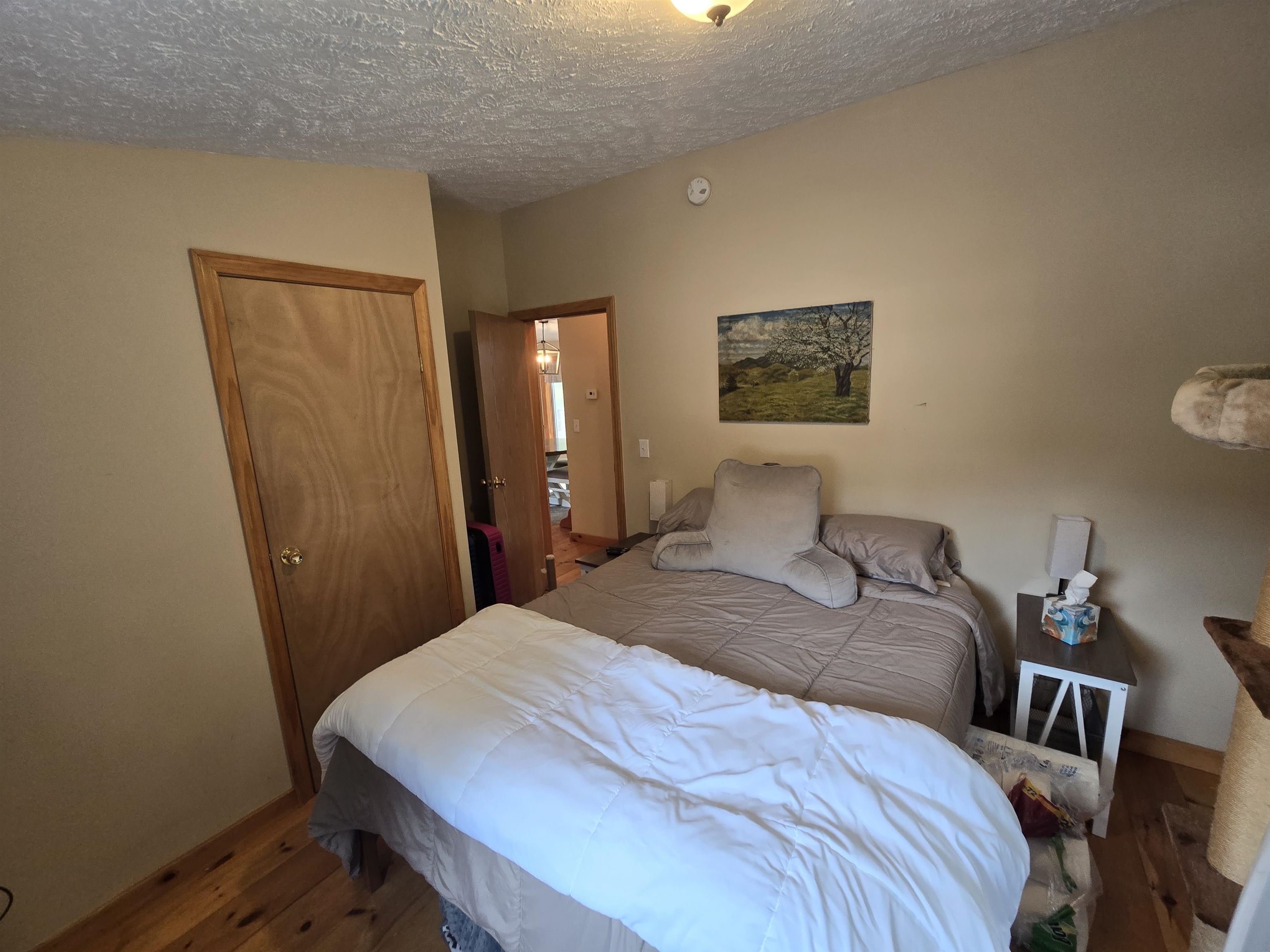 41 Brooklyn Street Property Photo 30