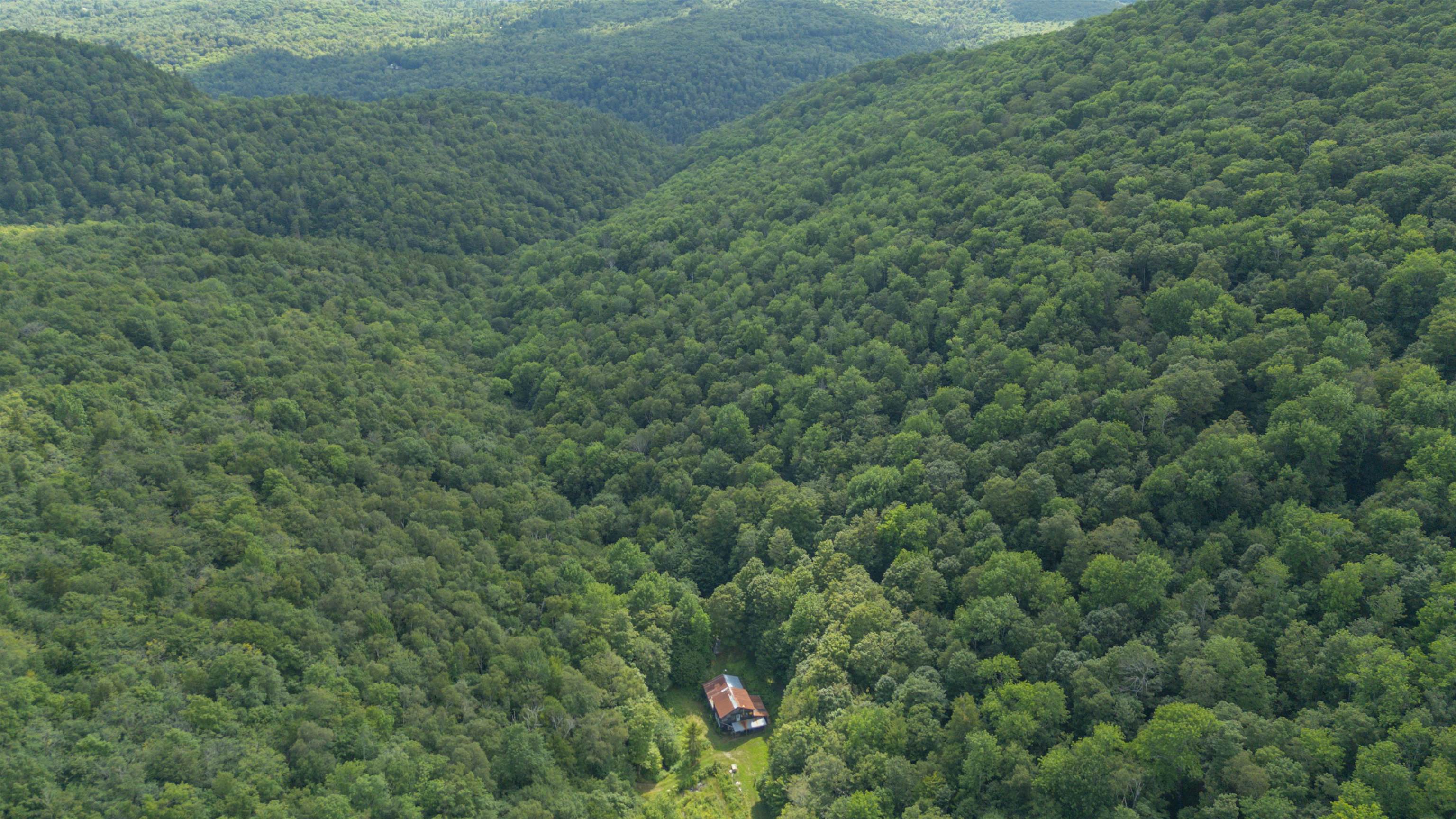 0 River Road Property Photo 1