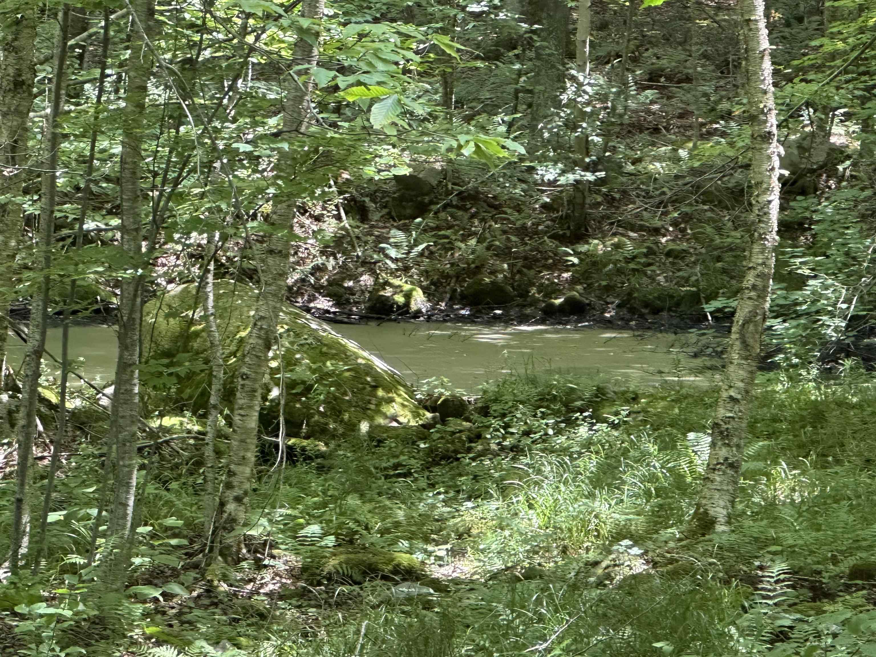 344 Hemlock Lane Property Photo 26