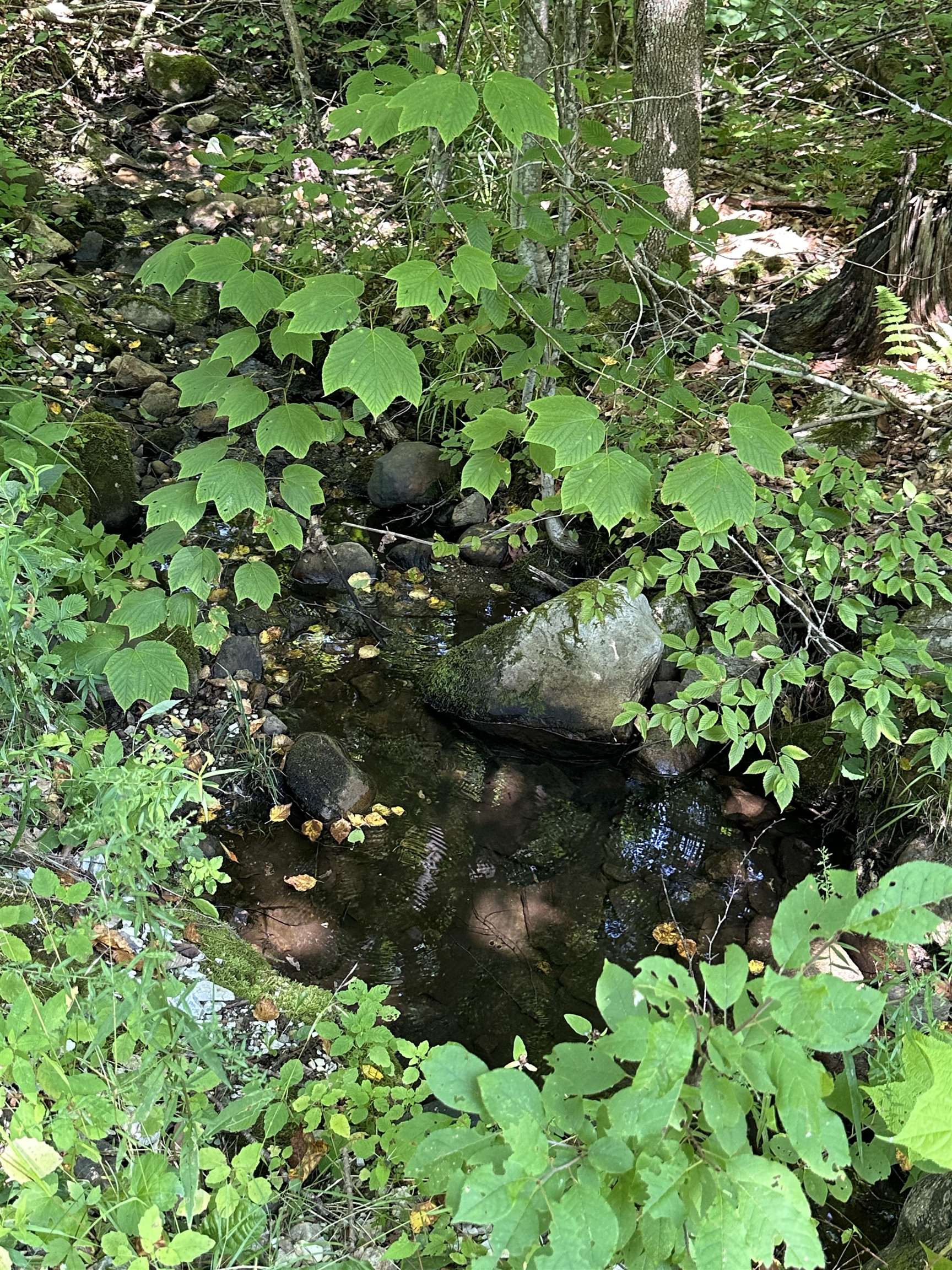 344 Hemlock Lane Property Photo 27