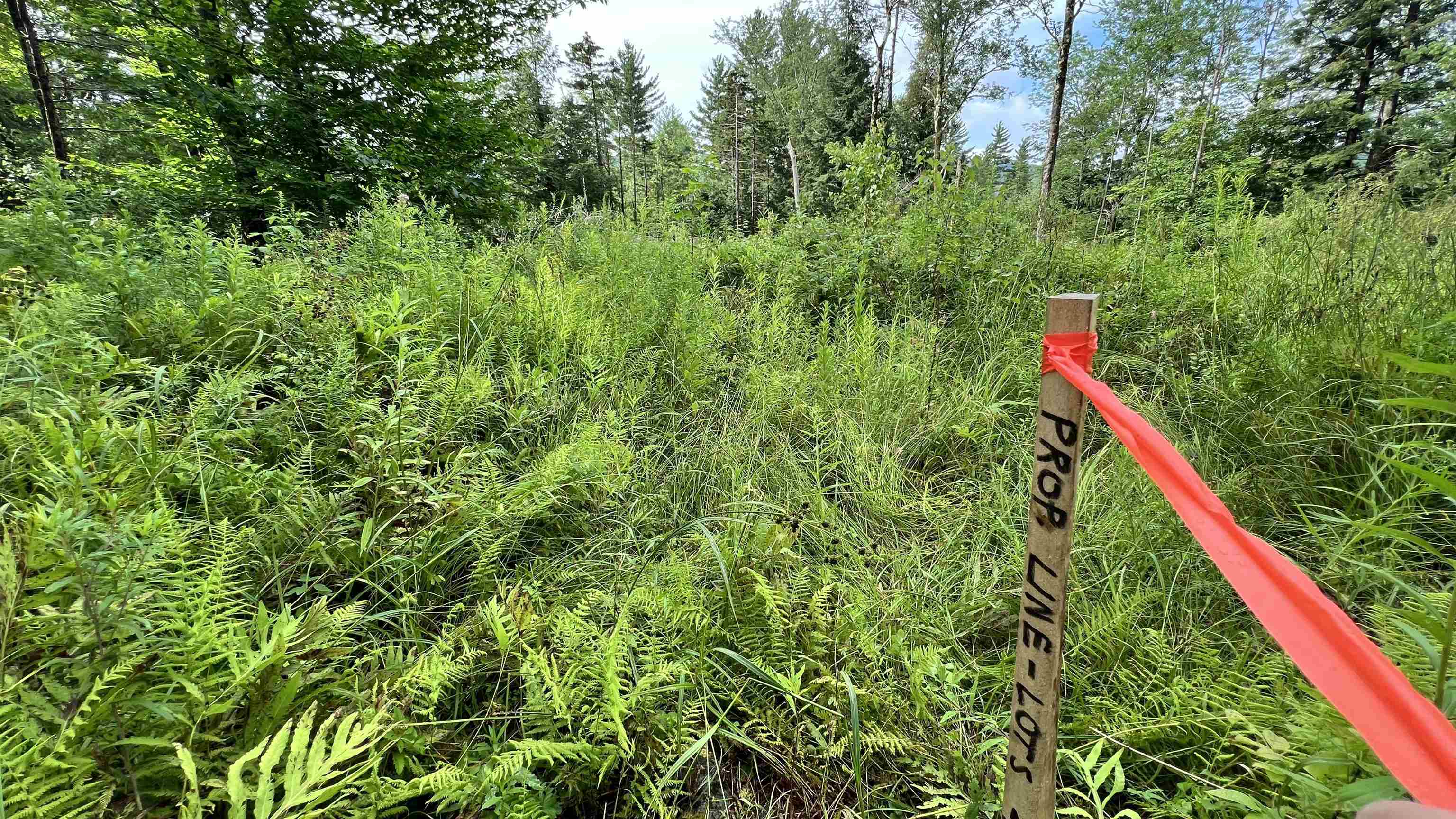 1416 Clif Reynolds Road Property Photo 1