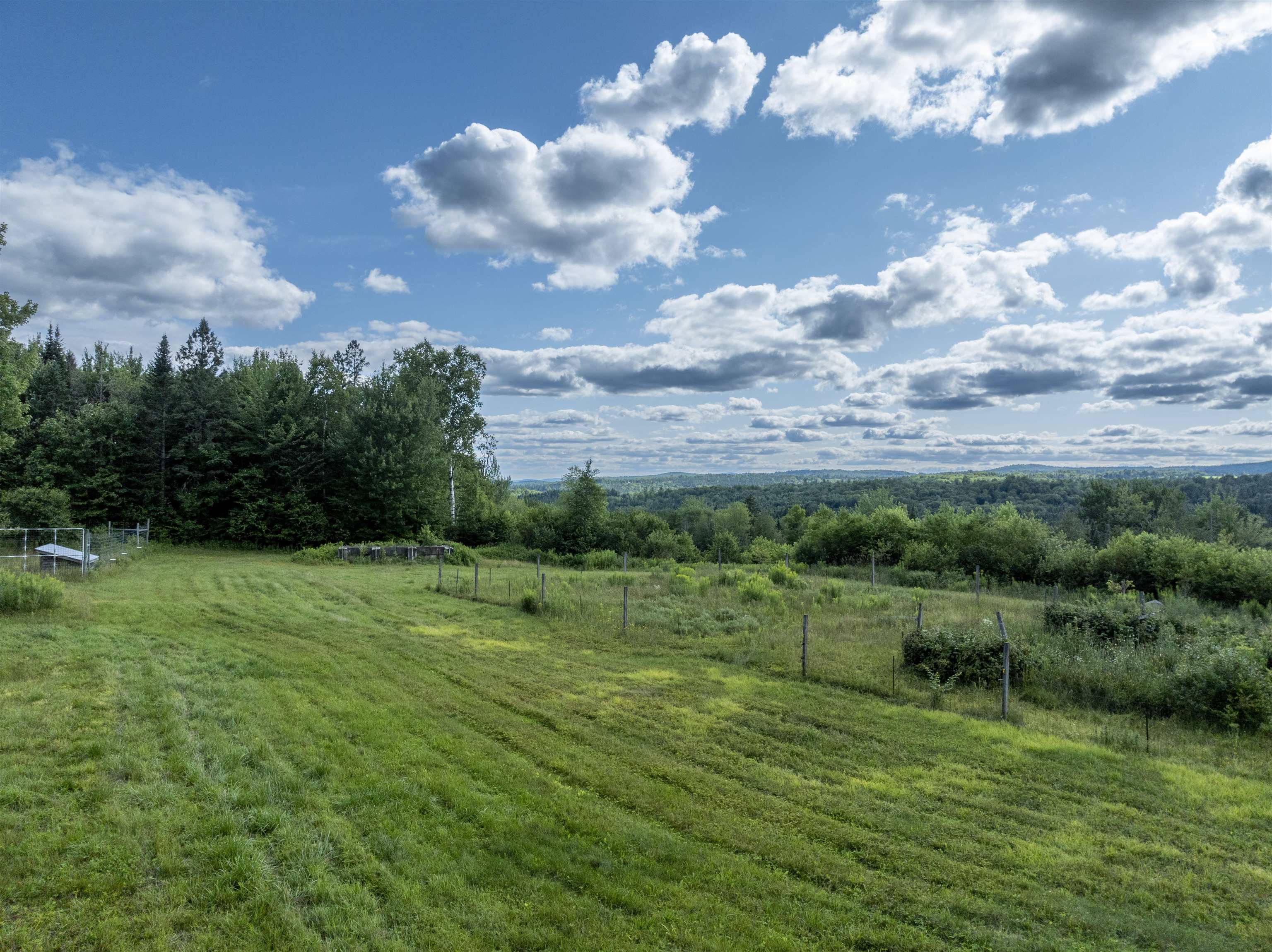 1148 Highlander Street Property Photo 2