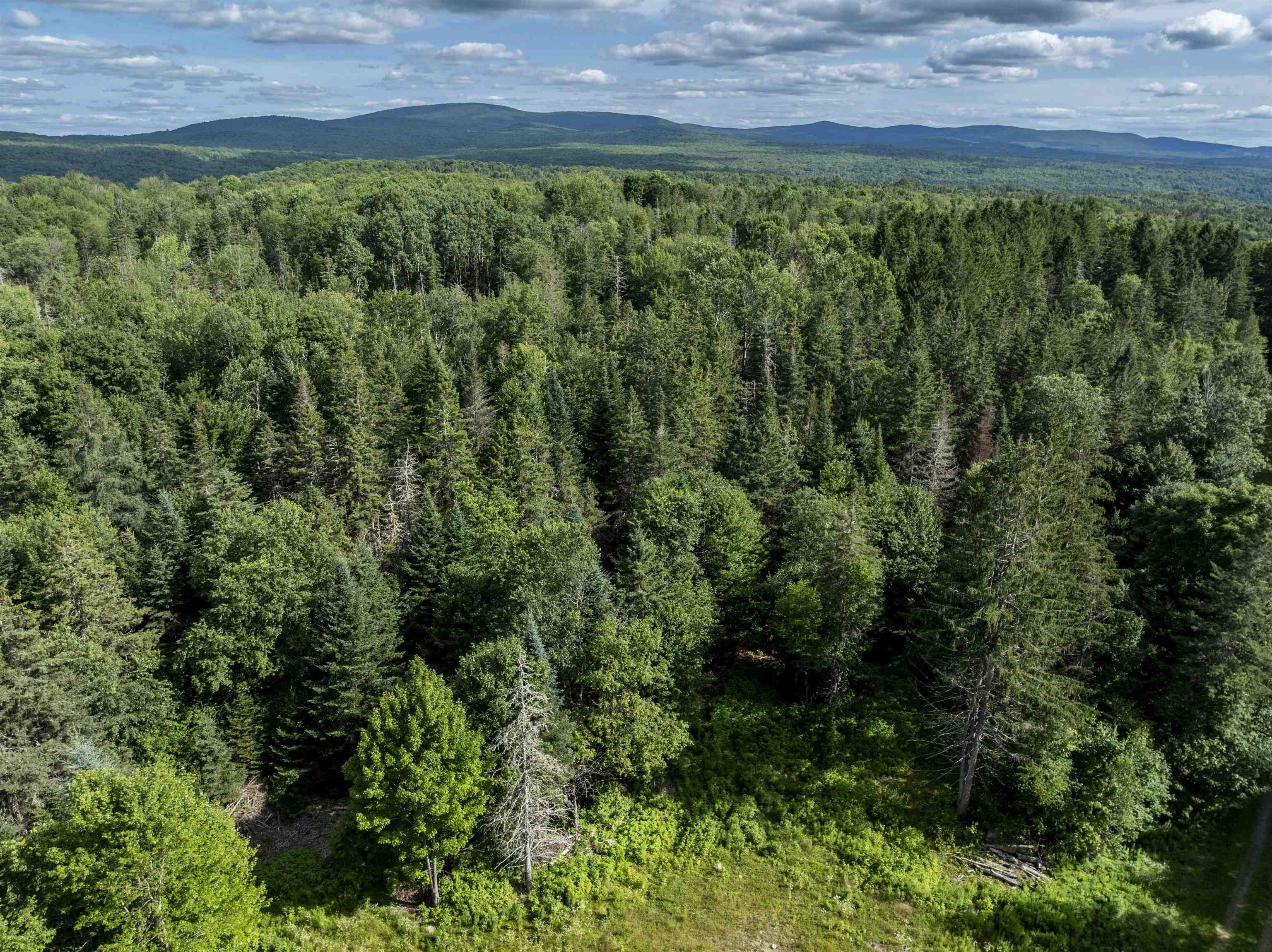 1148 Highlander Street Property Photo 7