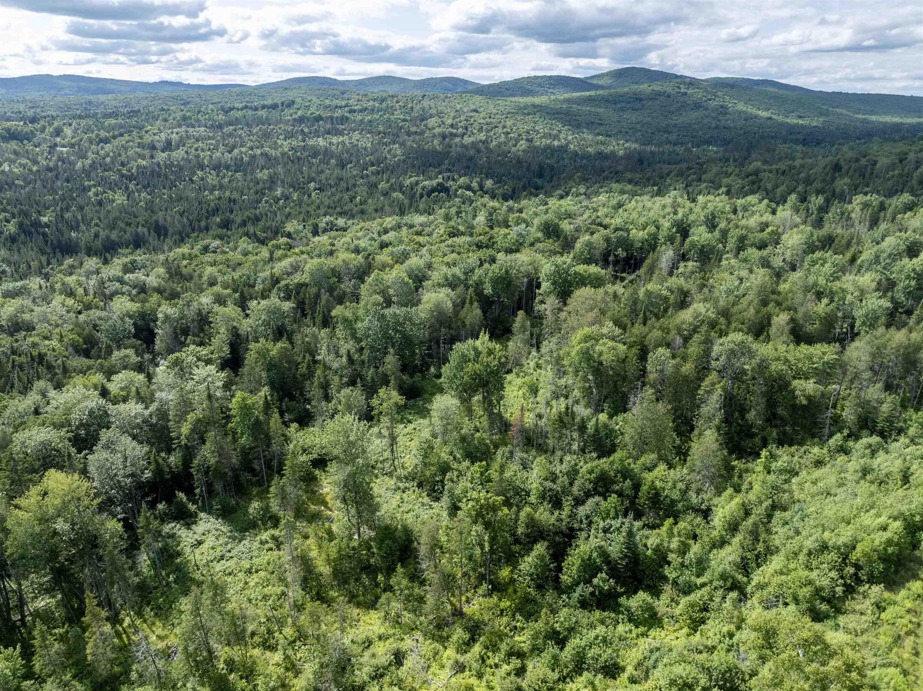 1148 Highlander Street Property Photo 27