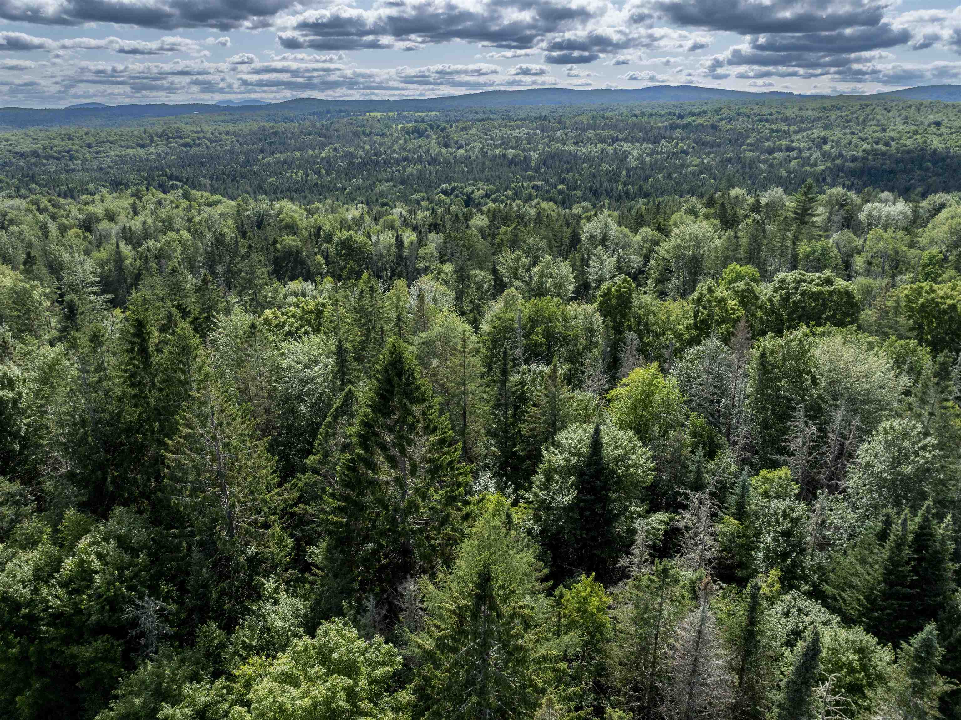 1148 Highlander Street Property Photo 29