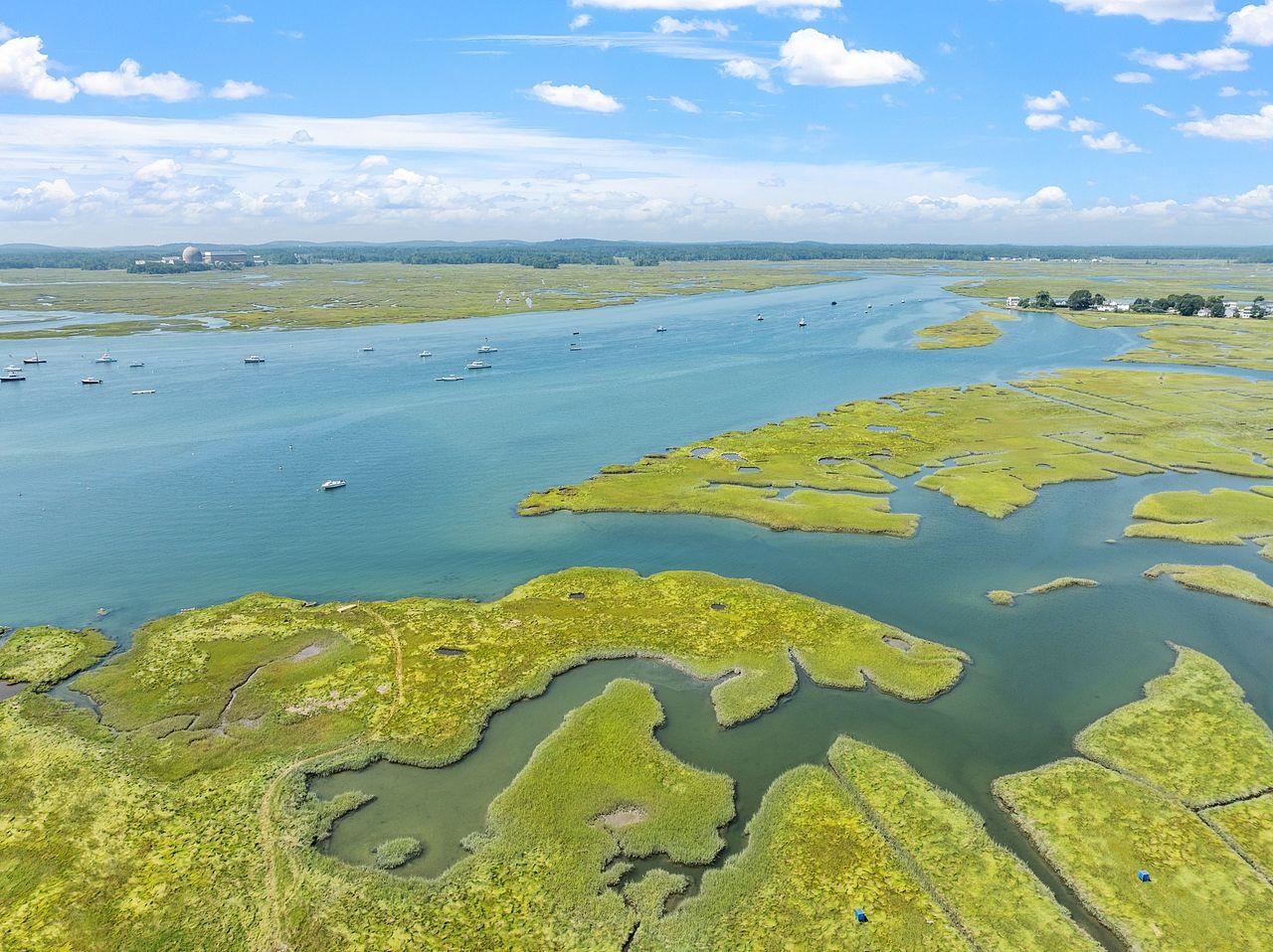 22-24 Perkins Avenue Property Photo 53