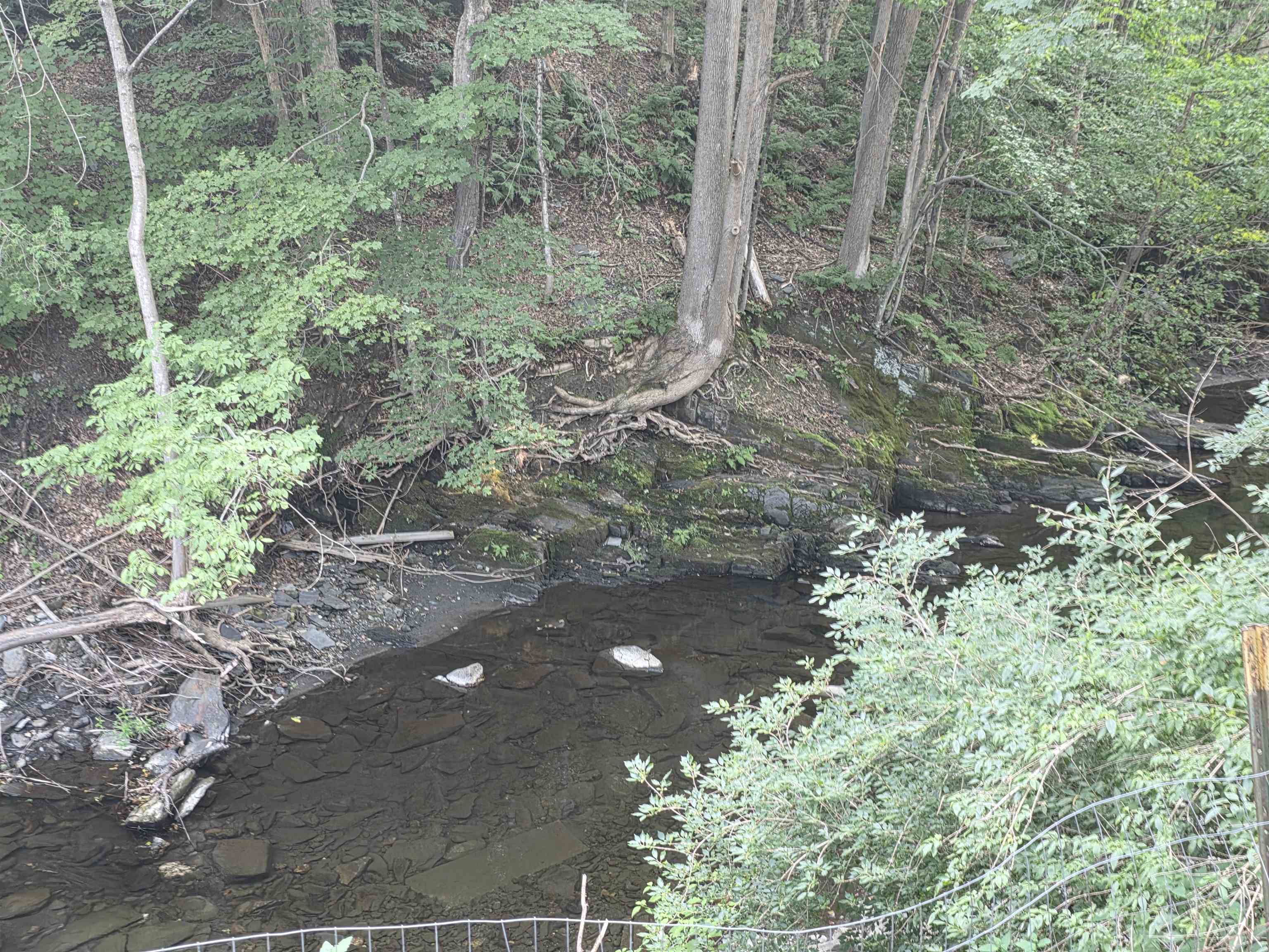 1272 Route 12s Property Photo 47