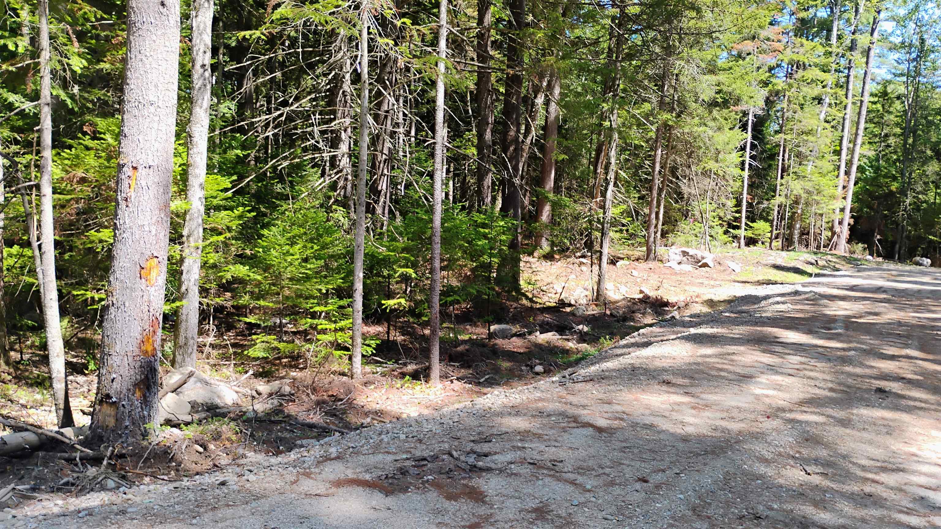 Lot 2 Nh Route 4a Property Photo 1