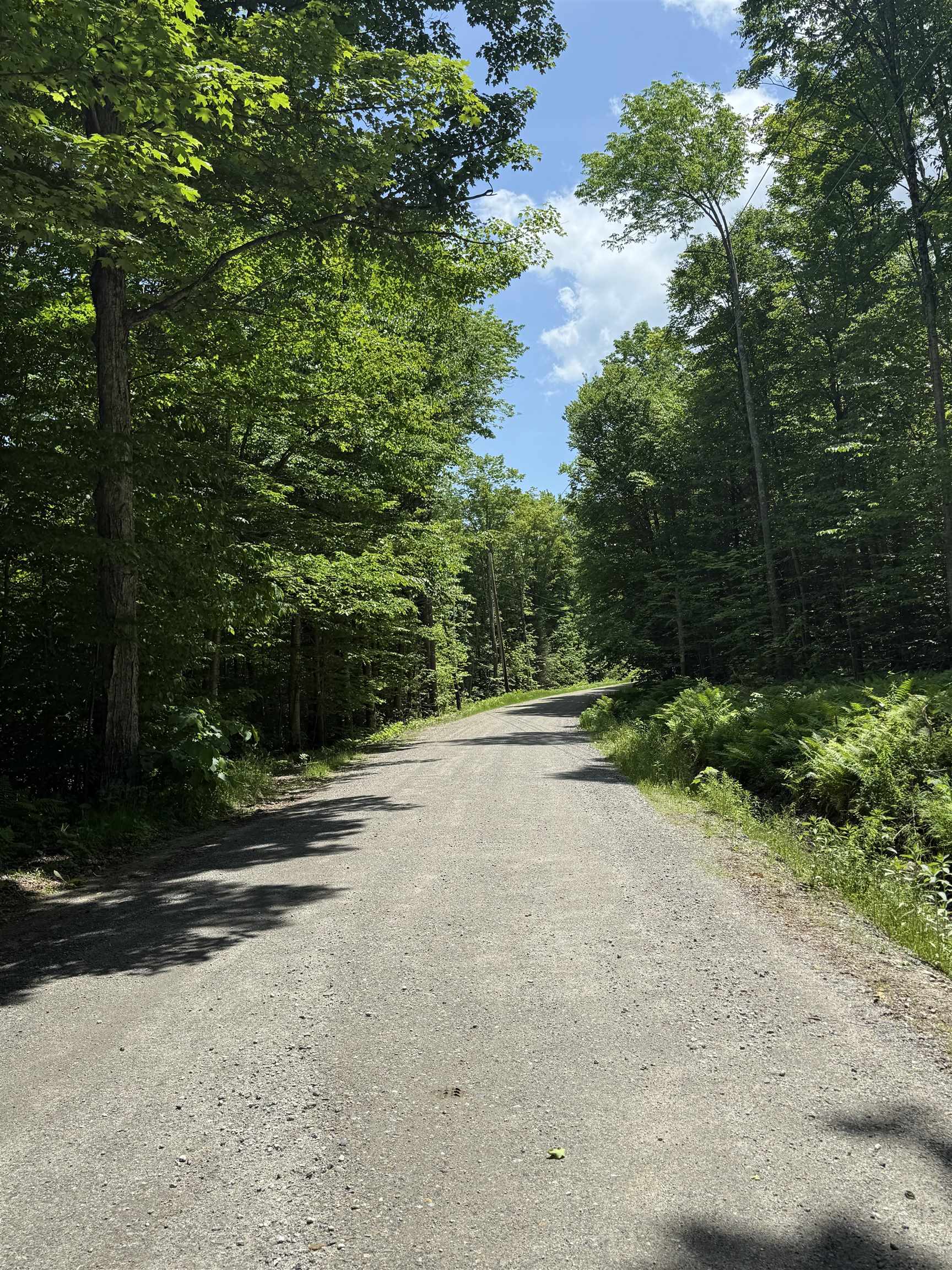Lot A1 Tunnel Stream Road Property Photo 3