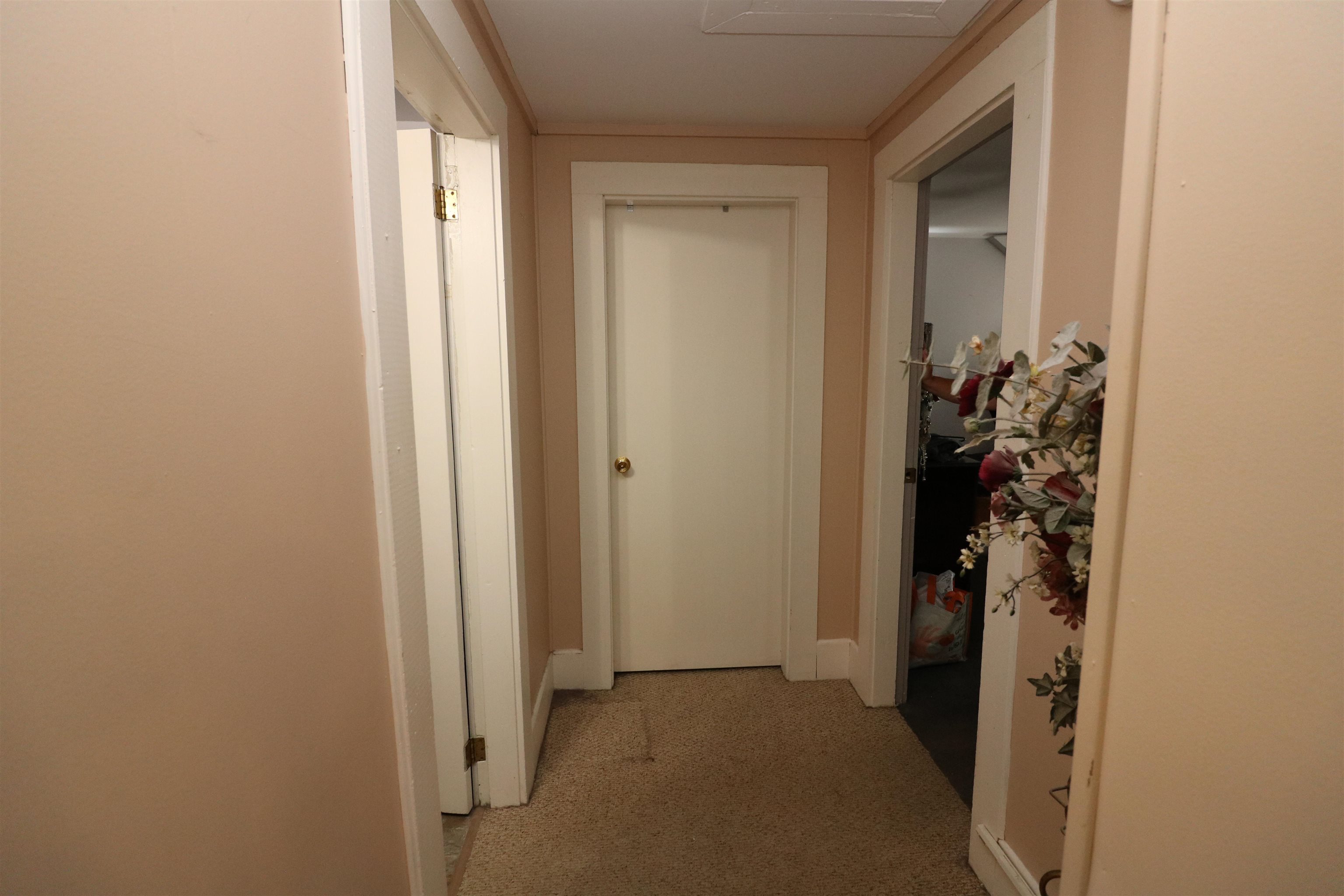 12 Benoit Drive Property Photo 33